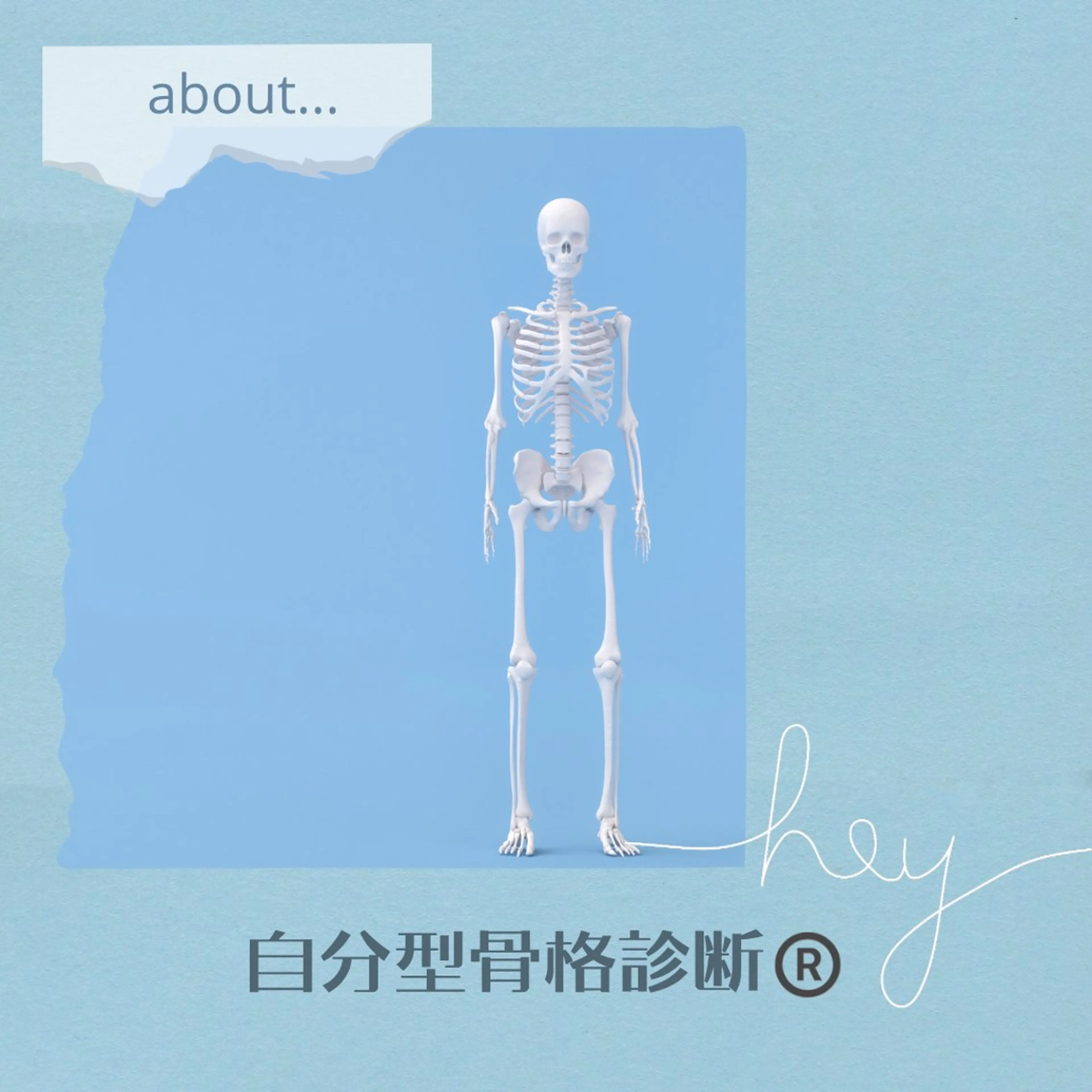 平日限定◇自分型骨格診断の写真