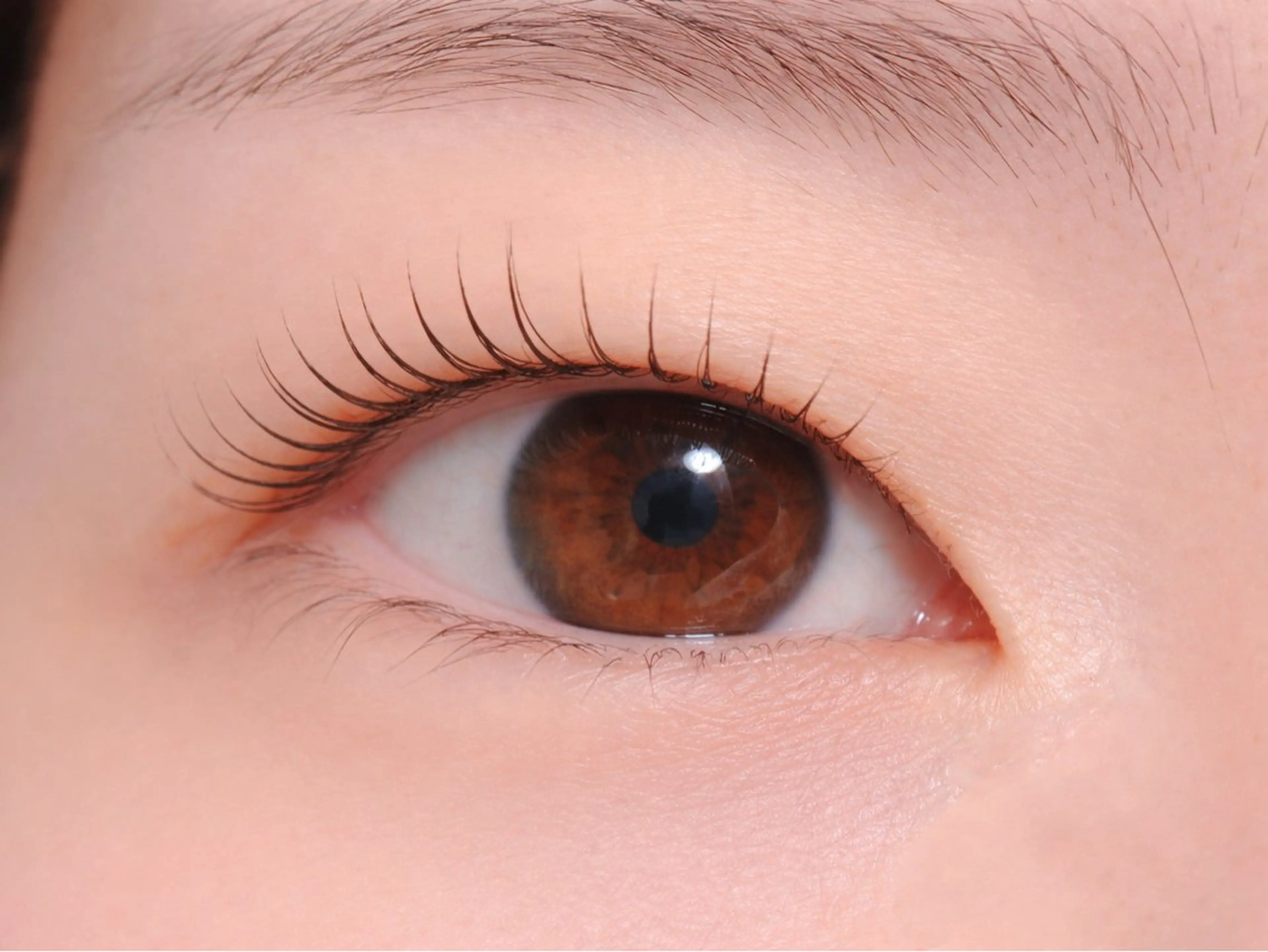 マツエク・マツパ Melia Chieのマツエク・マツパデザイン