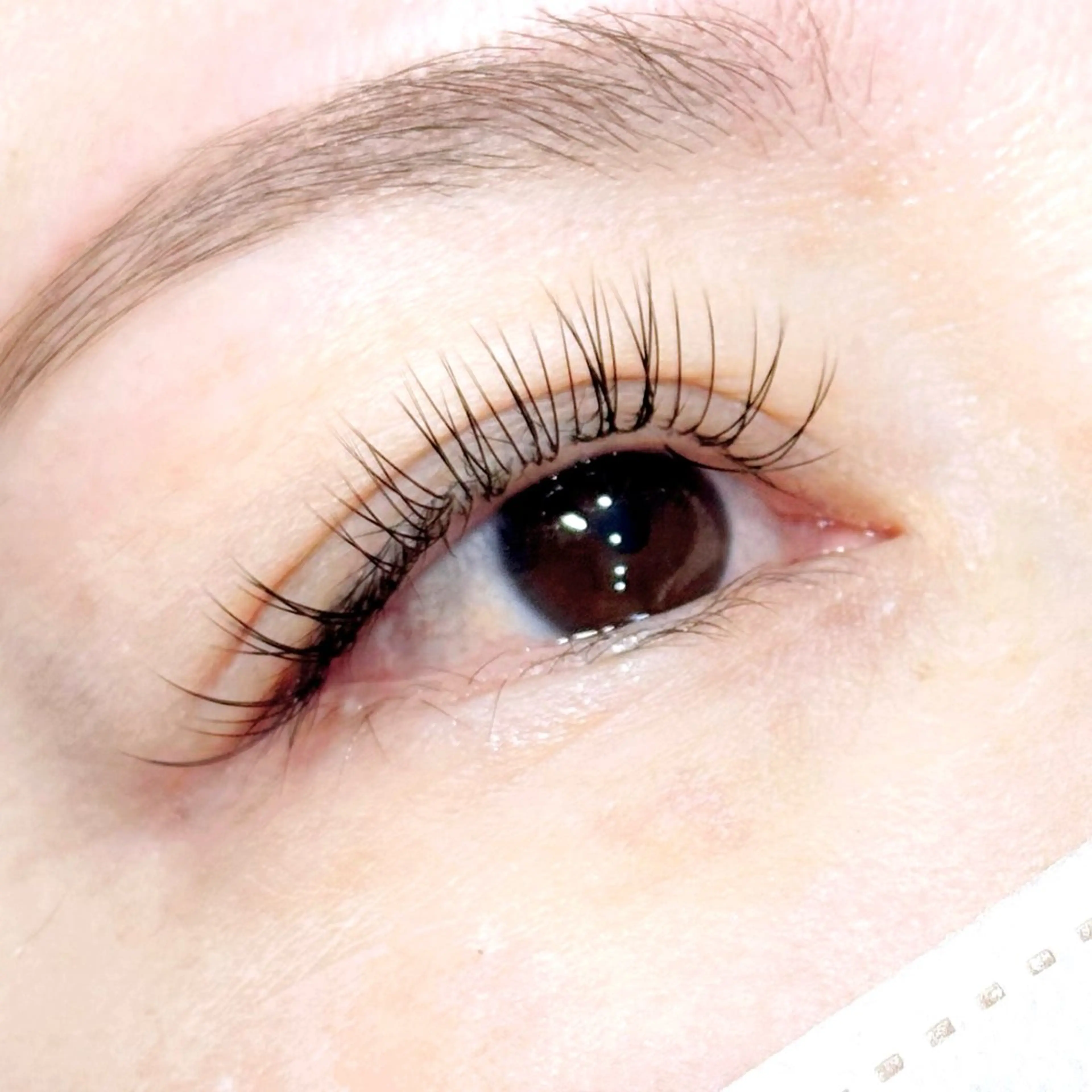 マツエク・マツパ 【La SHE's】 KANAME🪽✨のマツエク・マツパデザイン