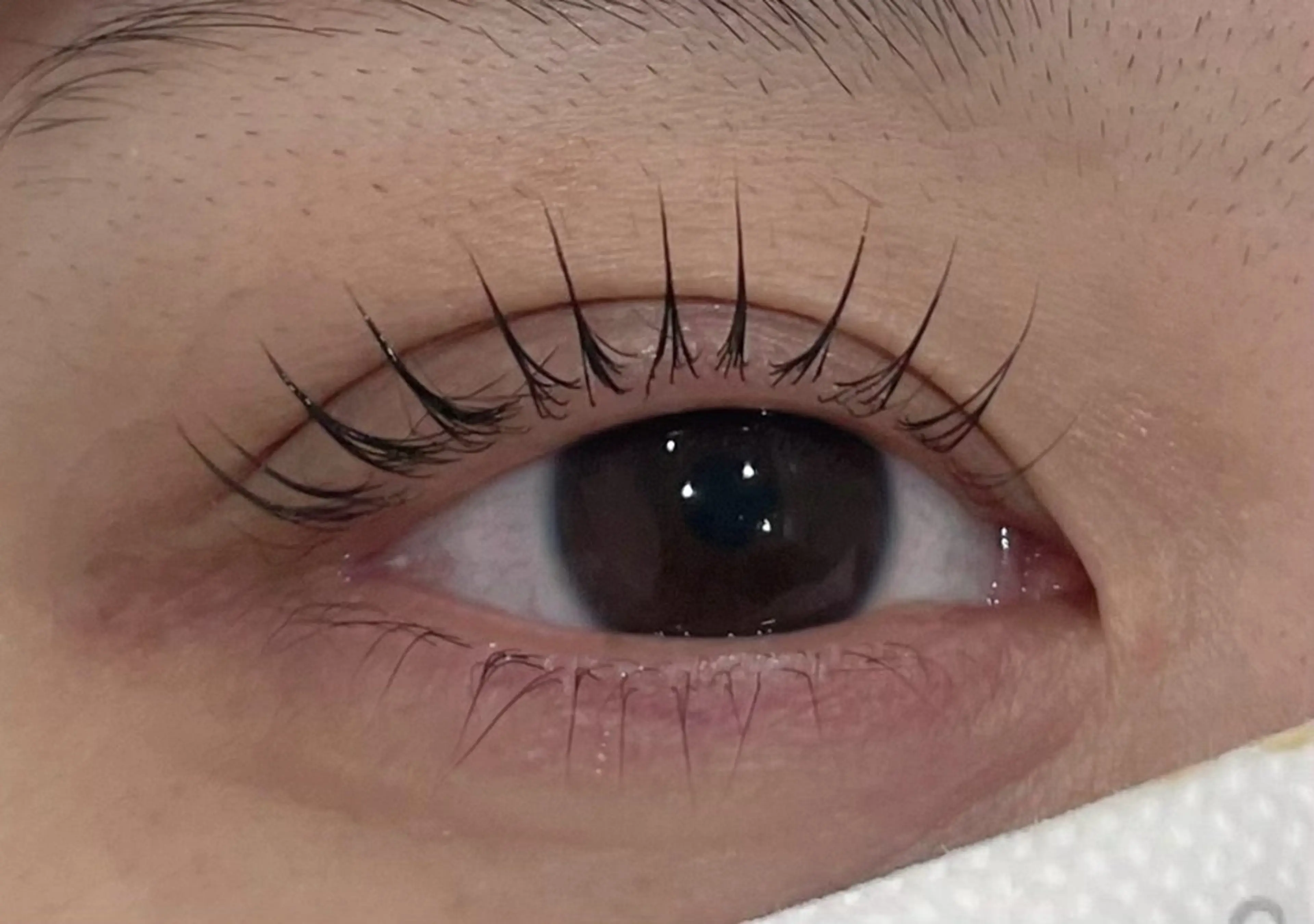 マツエク・マツパ マツパ まつげパーマ専門店 くるり🎀赤澤🎀の眉毛・アイブロウイメージ