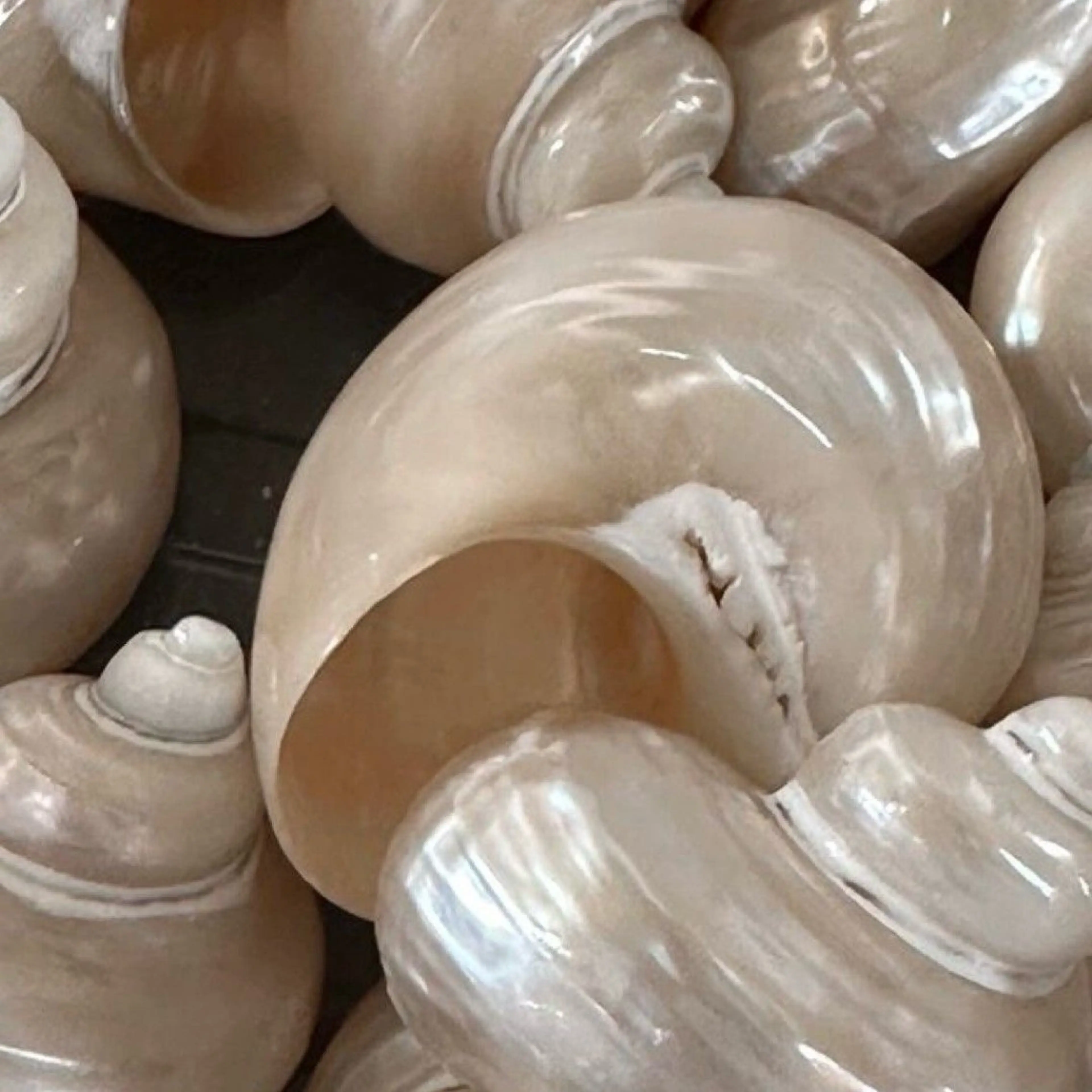 shiho .のヘアスタイル