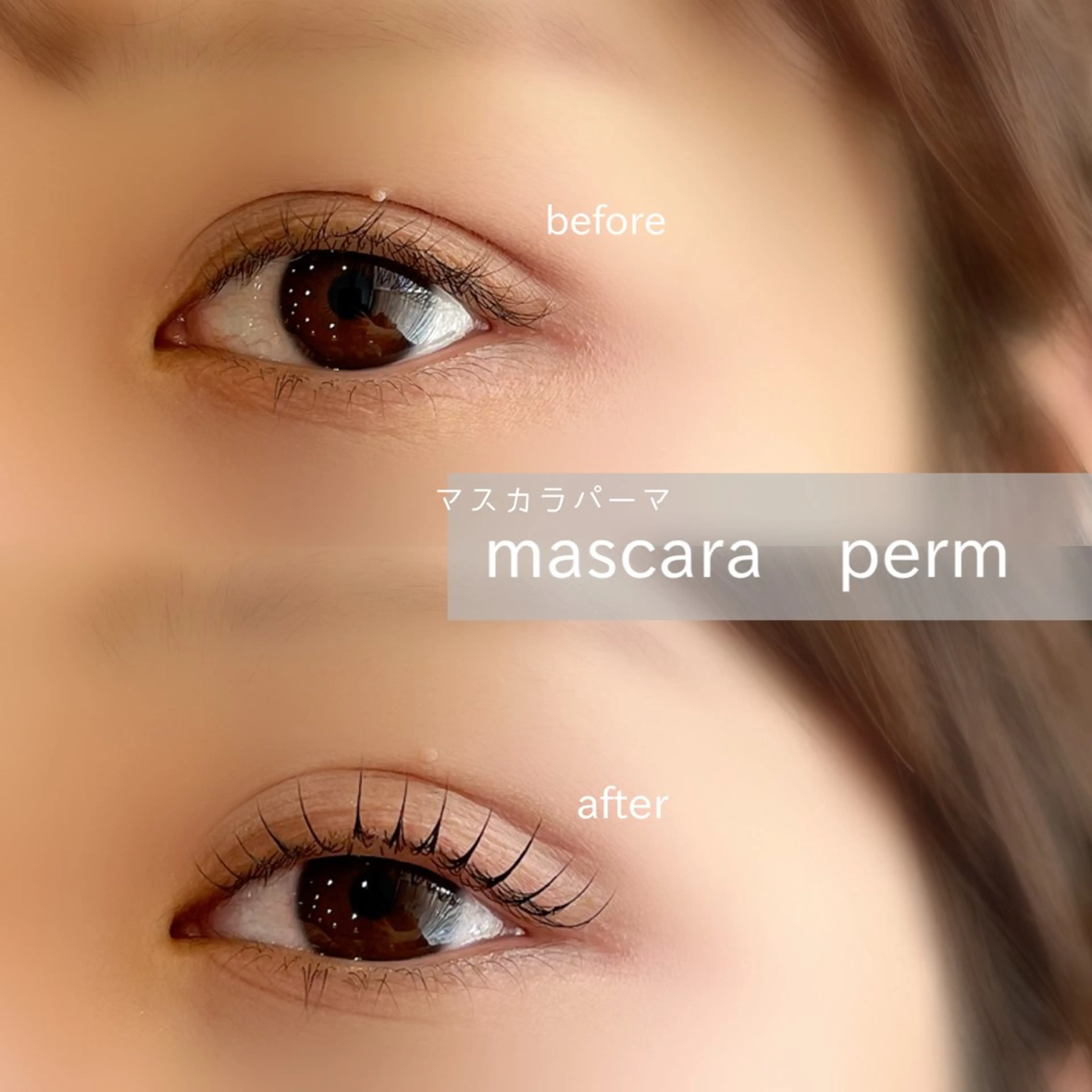 【上のみ】マスカラパーマ🌟の写真