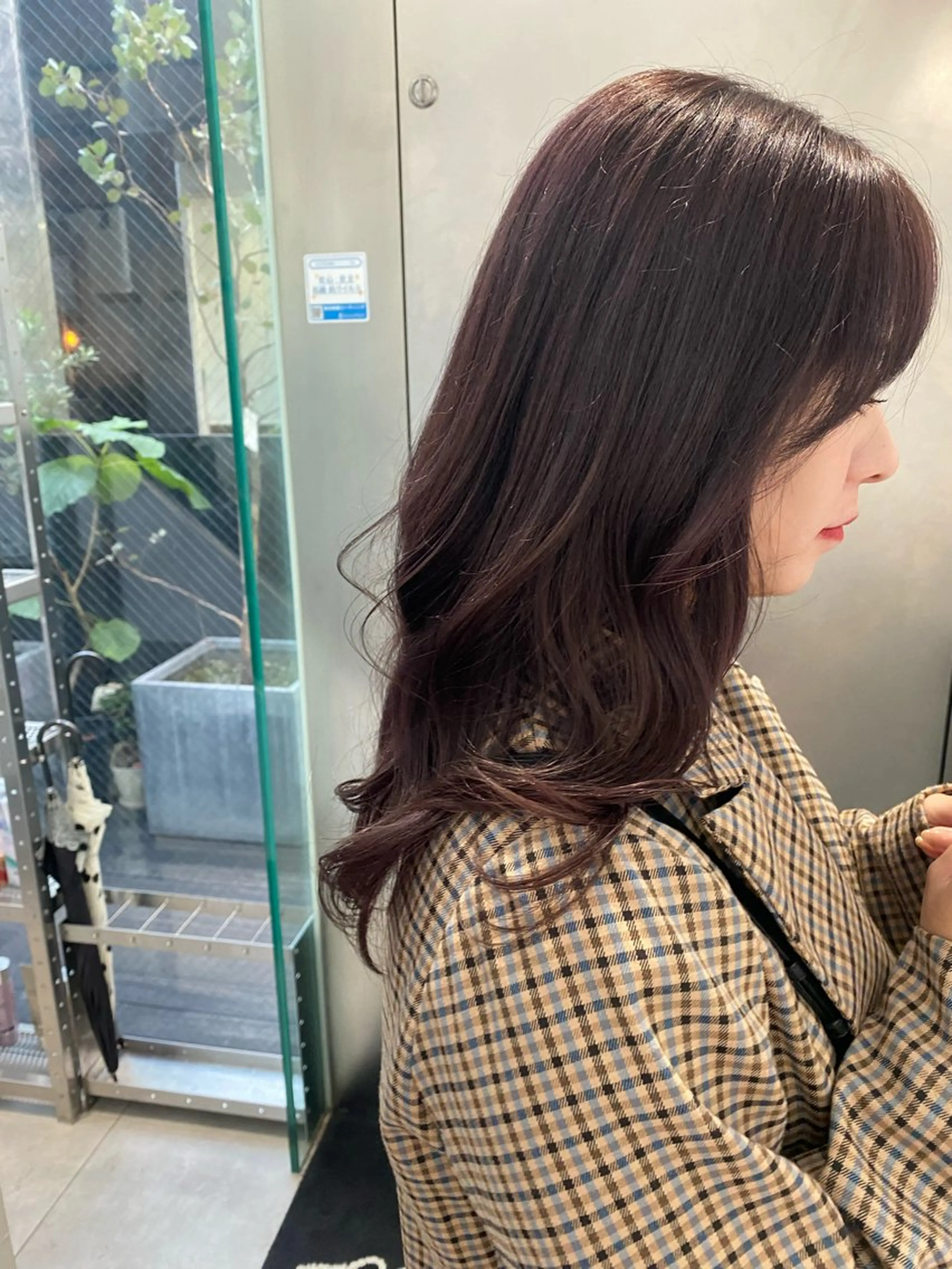 ミディアム カラー グレージュ ラベンダーカラー ラベンダーグレージュ ラベンダーグレー とびまつ /ショート/脱白髪染のヘアスタイル