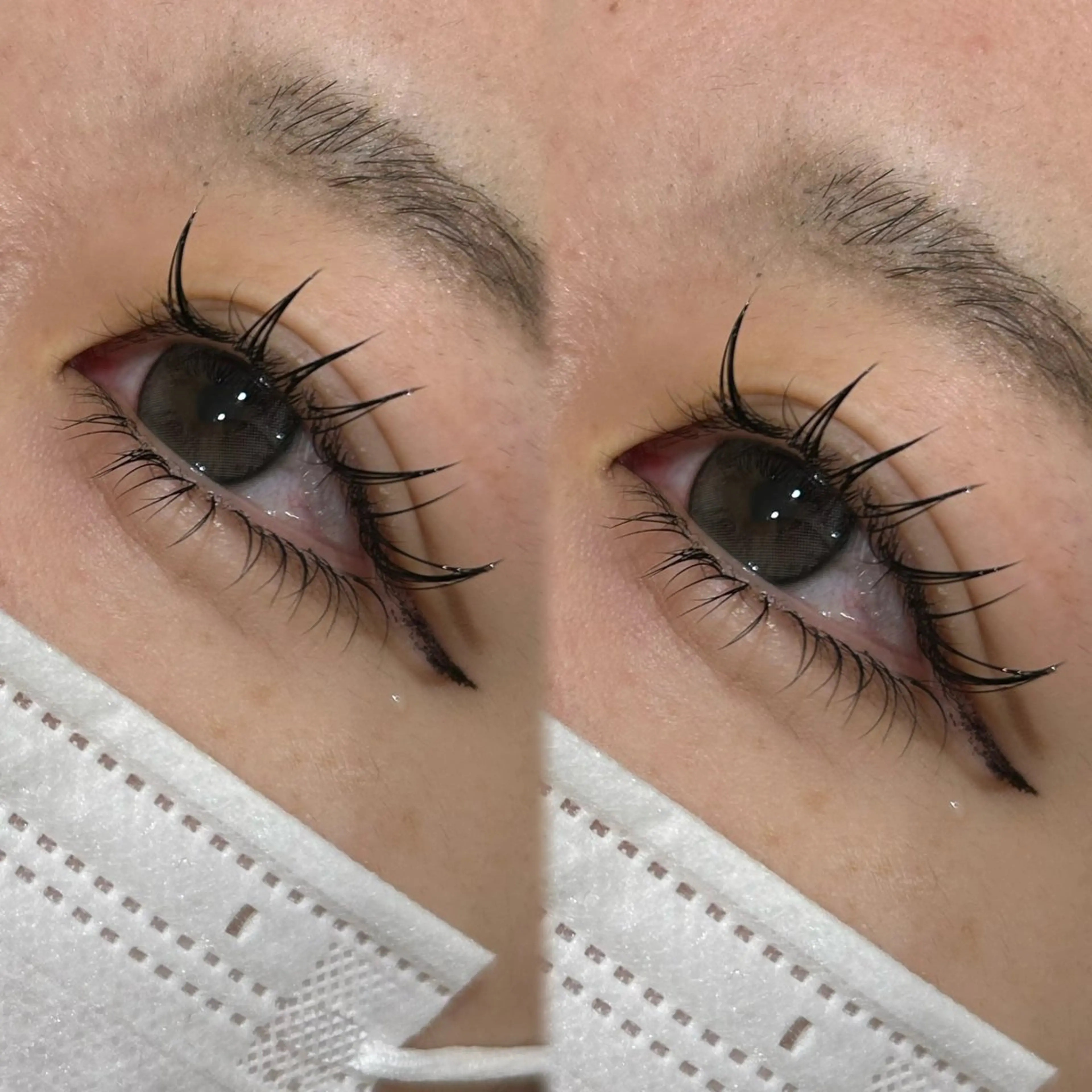 コーティング付き️🫧 フラットラッシュ140-160本✨【赤羽/束感仕上げ◎】の写真