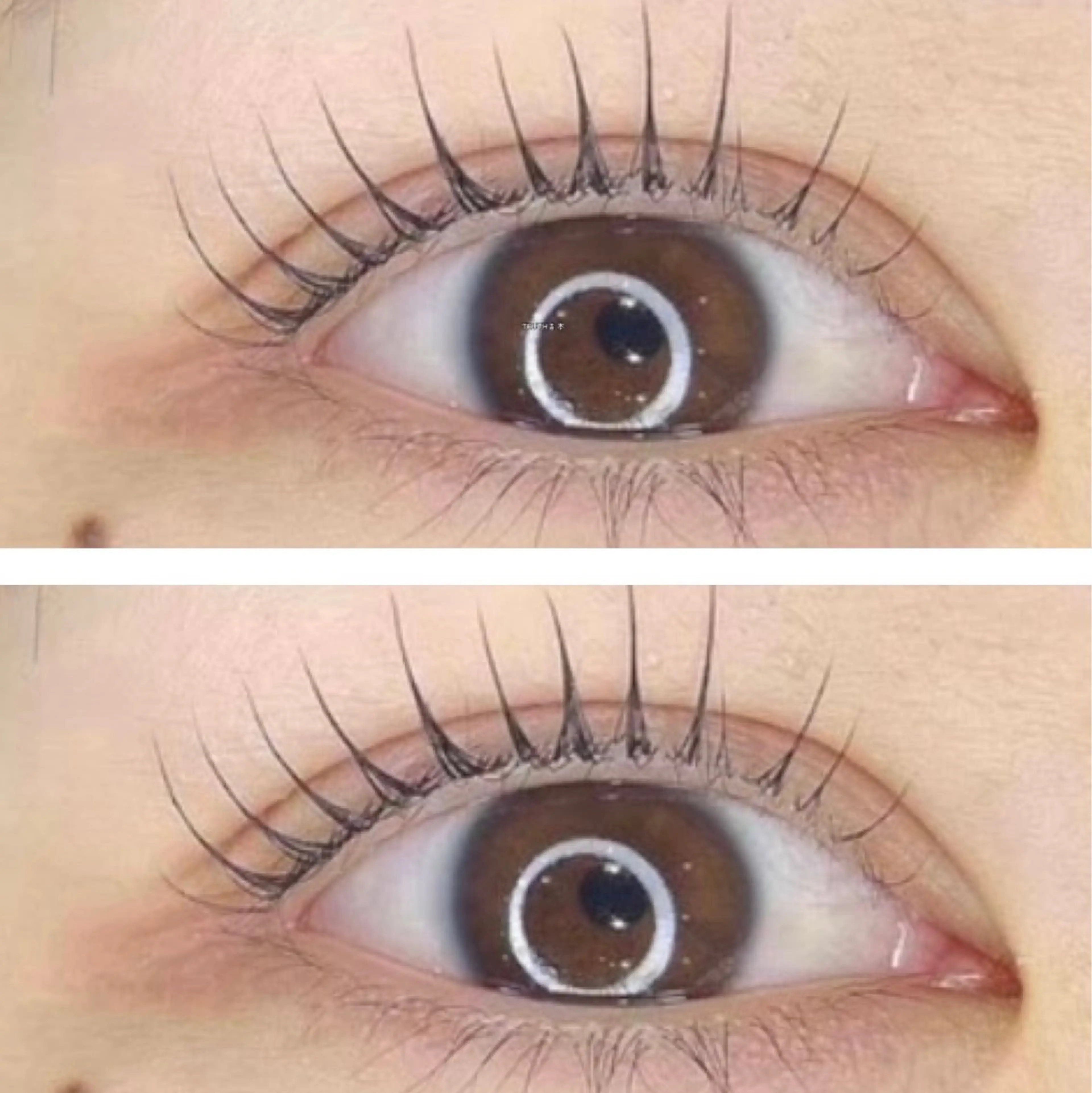 🗣️パリジェンヌ/ラッシュリフト/メーテル💛トリートメント入りコーティング込😍韓国束感🌸無料駐車場/無料託児有✨の写真