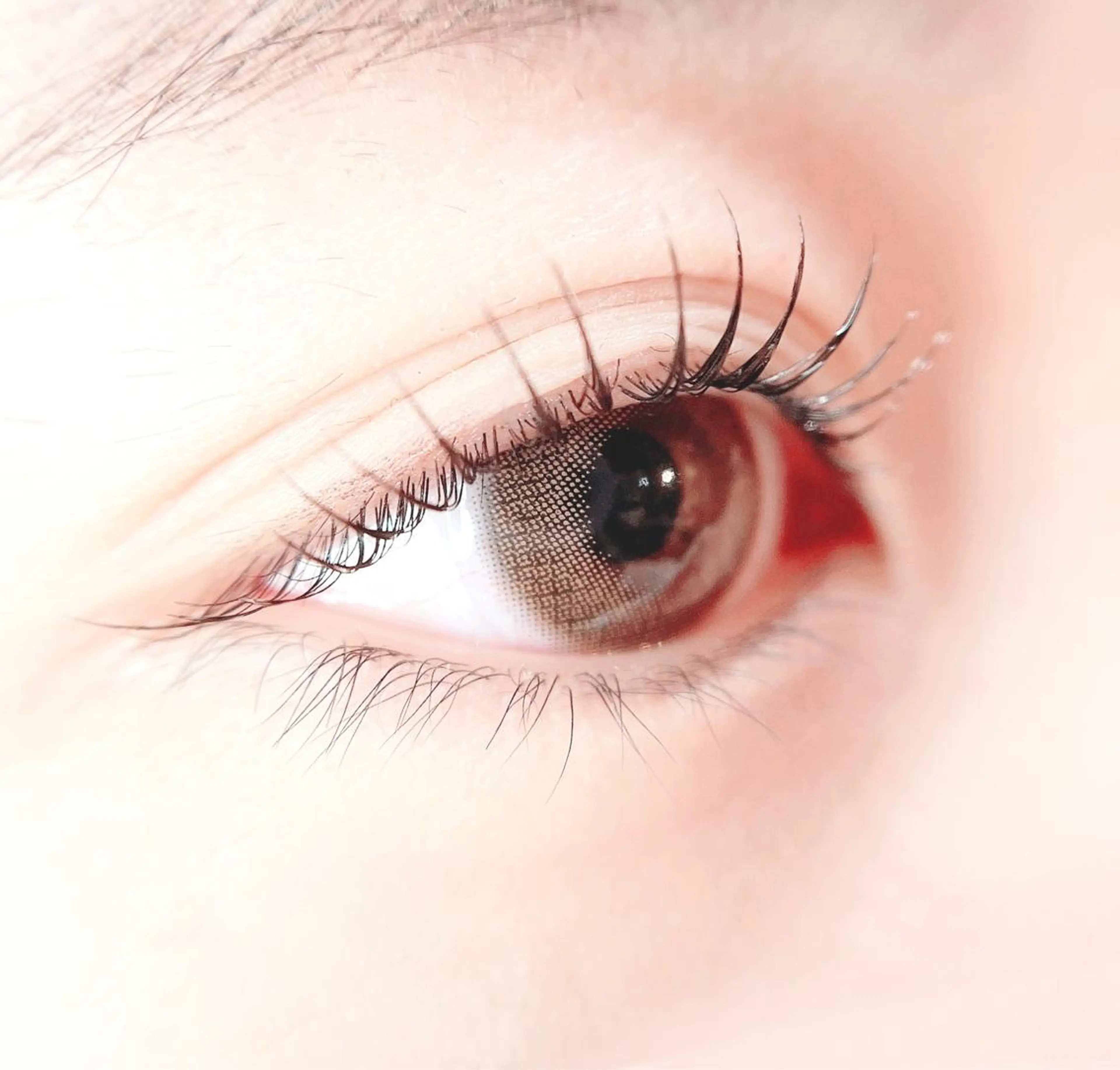 マツエク・マツパ cococherin所属・araki 🧸💭のマツエク・マツパデザイン