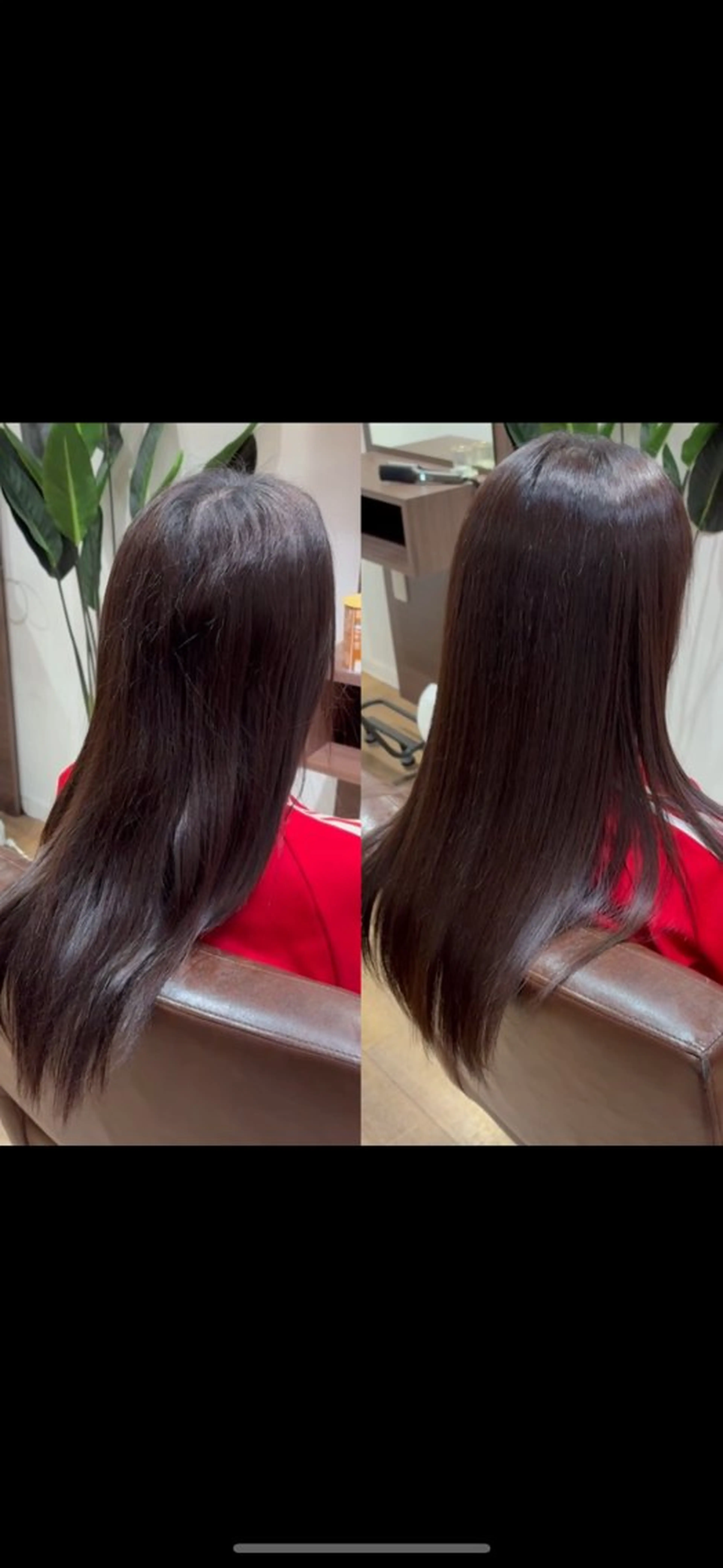 trewa はるのヘアスタイル