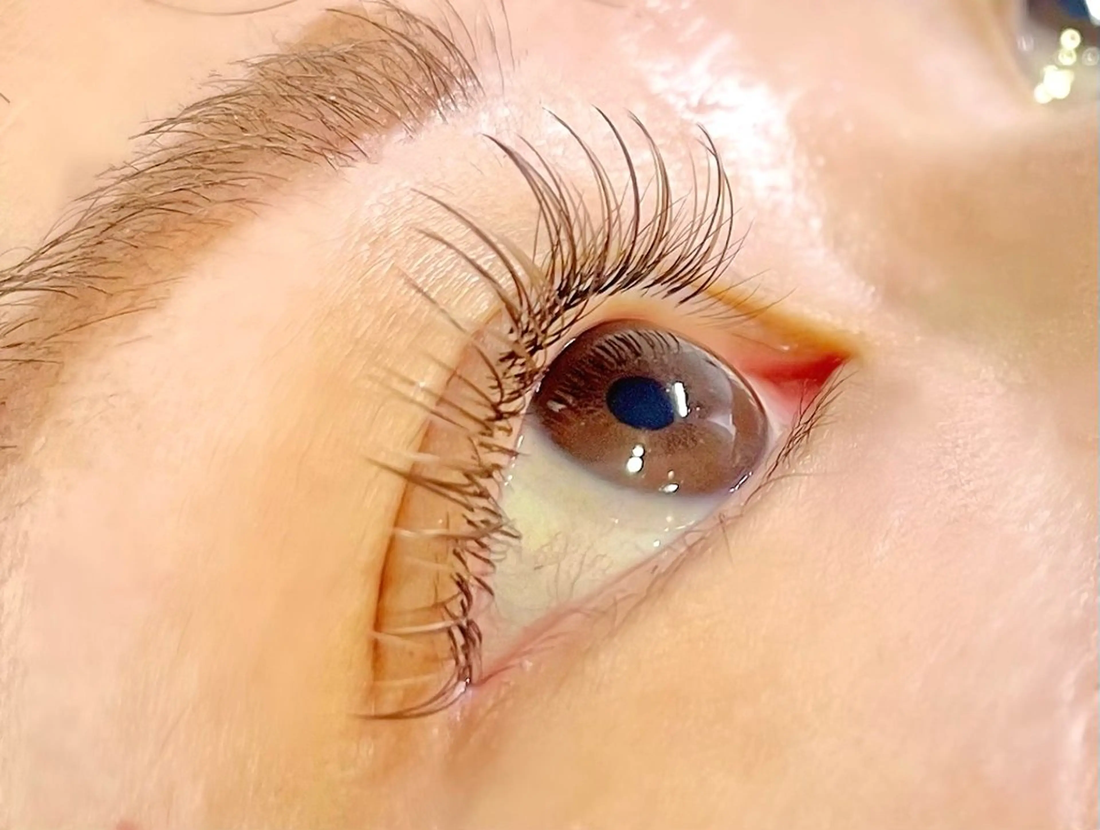 カラーエクステ120本の写真