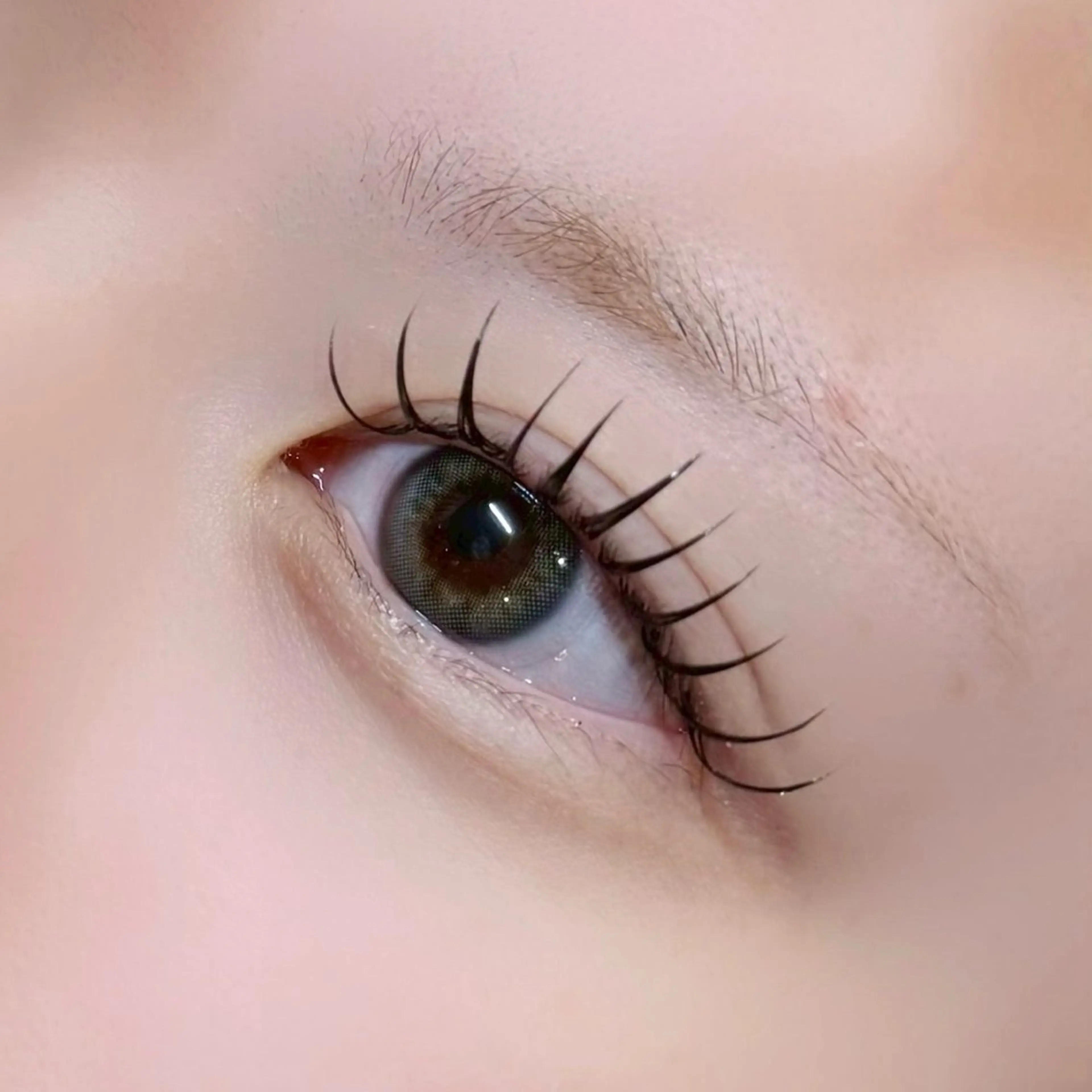 マツエク・マツパ アンドヘルシー/束感 /LED🩶MIYUのマツエク・マツパデザイン