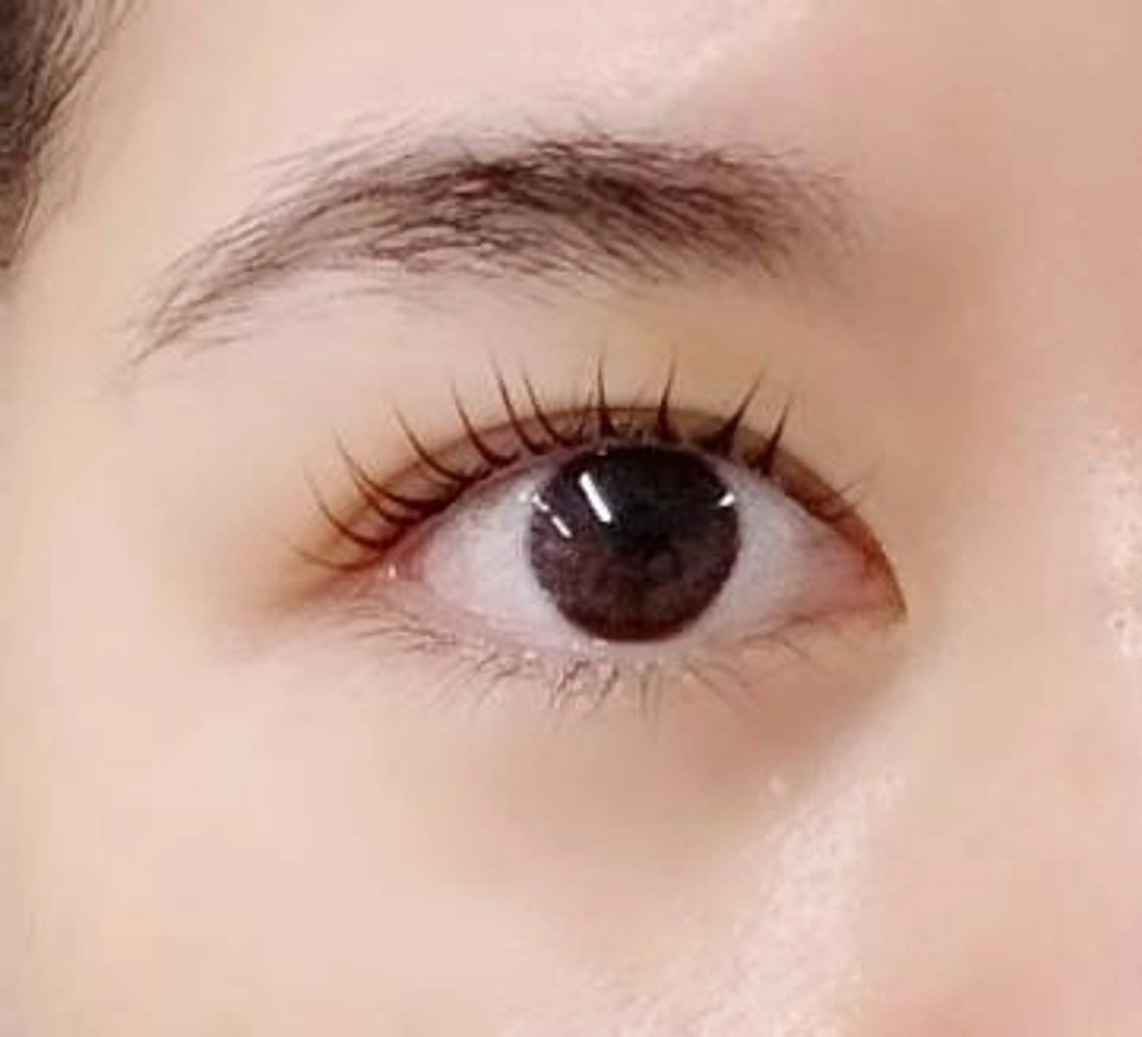 ラッシュリフト/パリジェンヌラッシュリフト(まつ毛パーマ）の写真