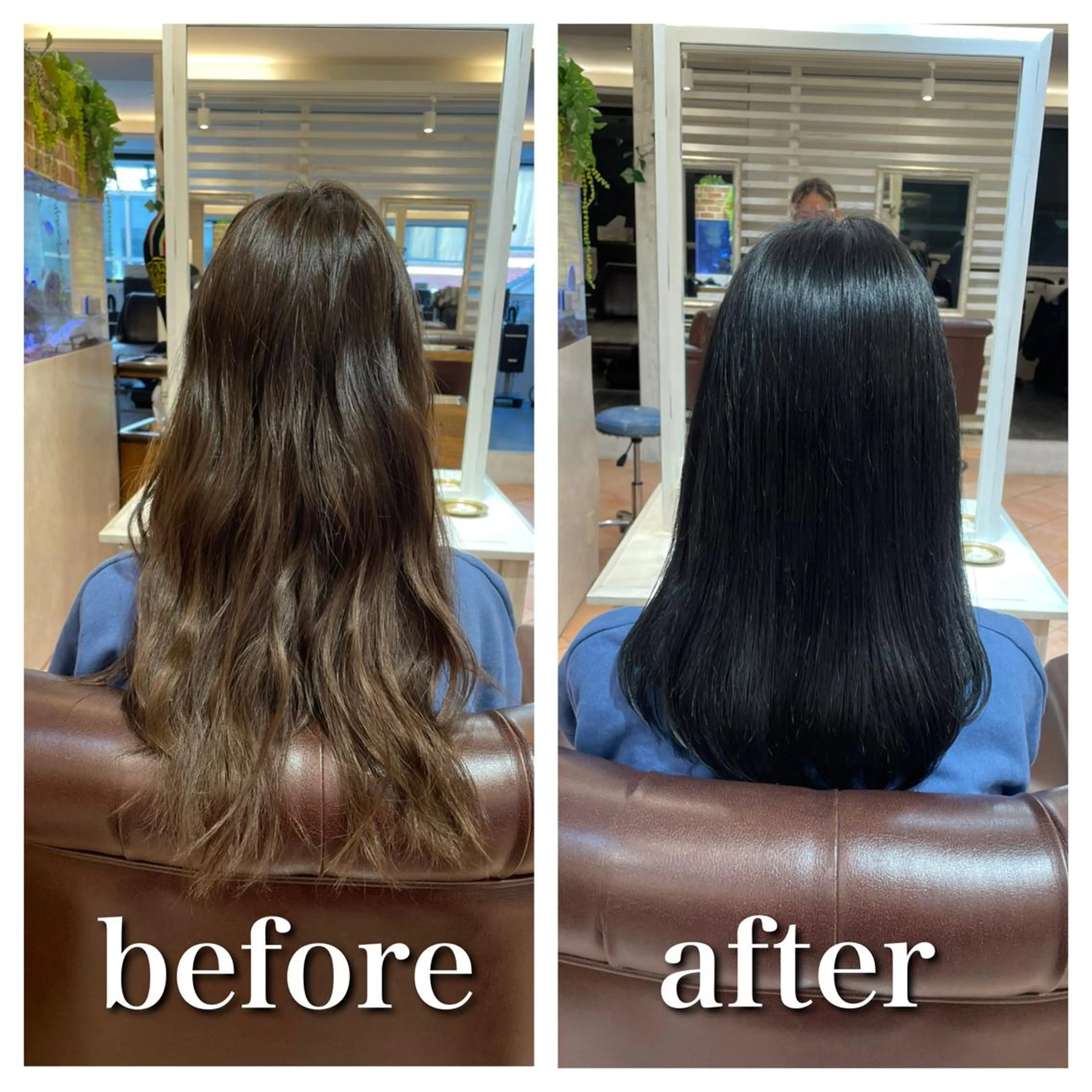 ミディアム カラー ミヤザキ タクトのヘアスタイル