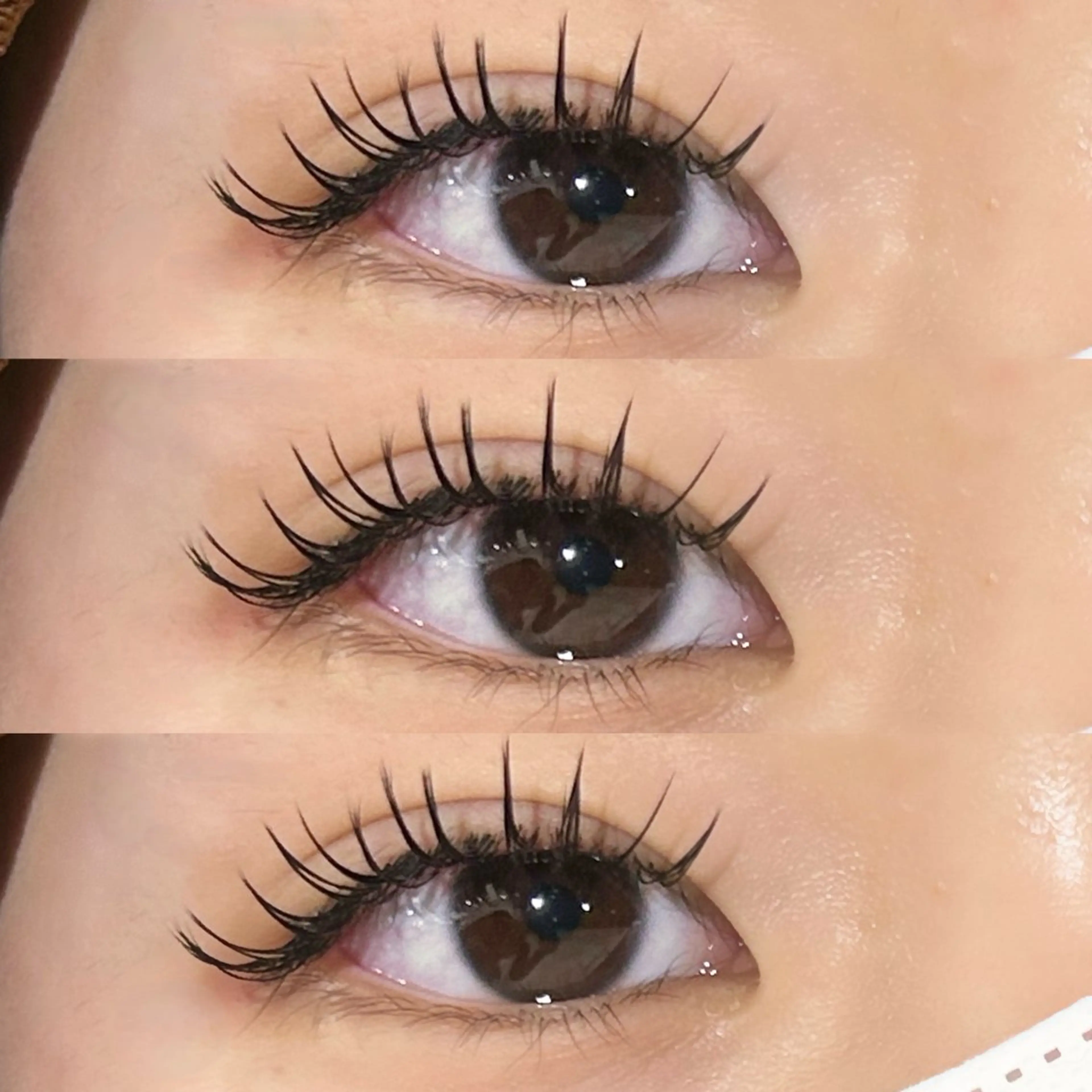 マツエク・マツパ マツエク メンズ/ボブ/パーマ /くるみのマツエク・マツパデザイン