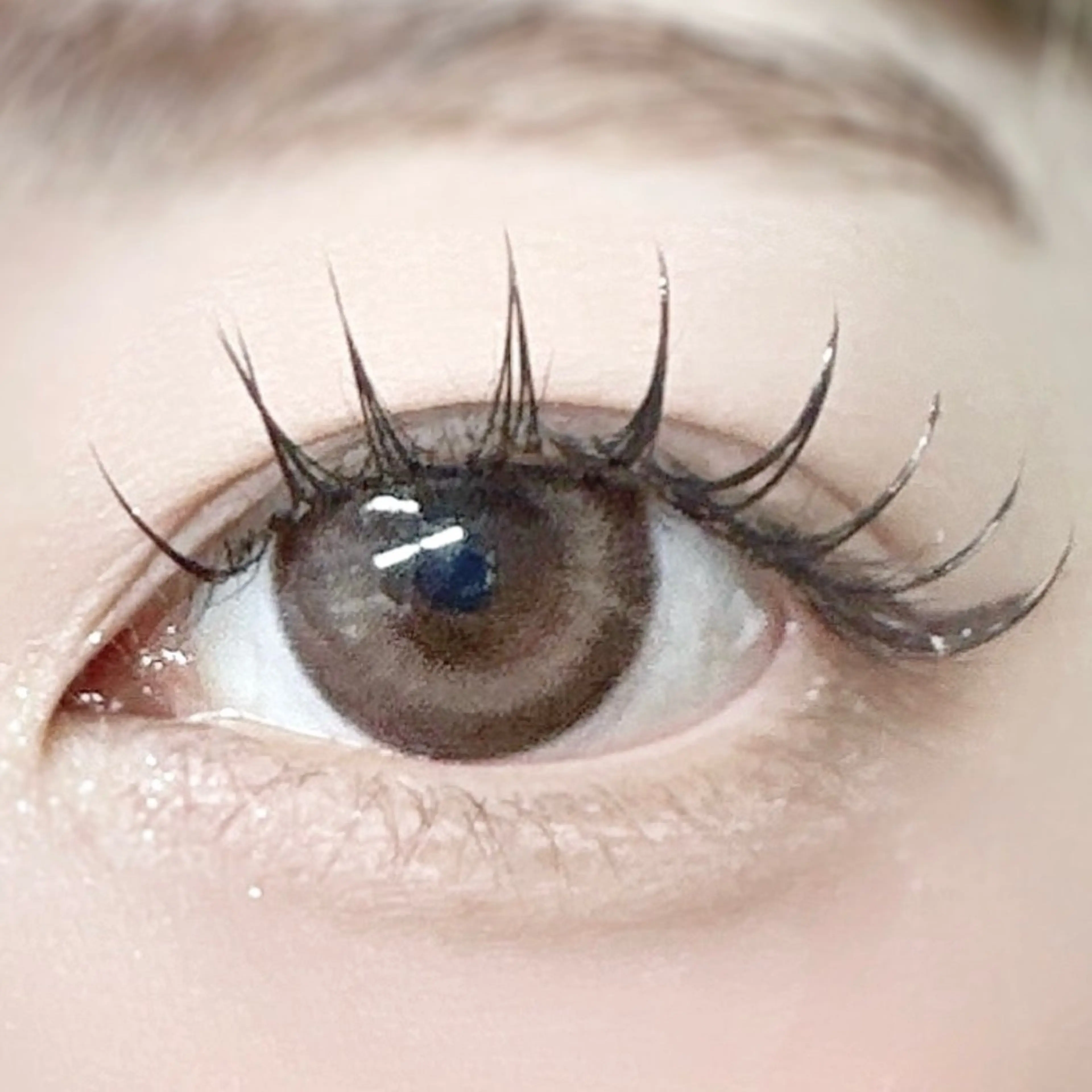 マツエク・マツパ フラットラッシュ マツエク マツエク専門店 cyunaのマツエク・マツパデザイン