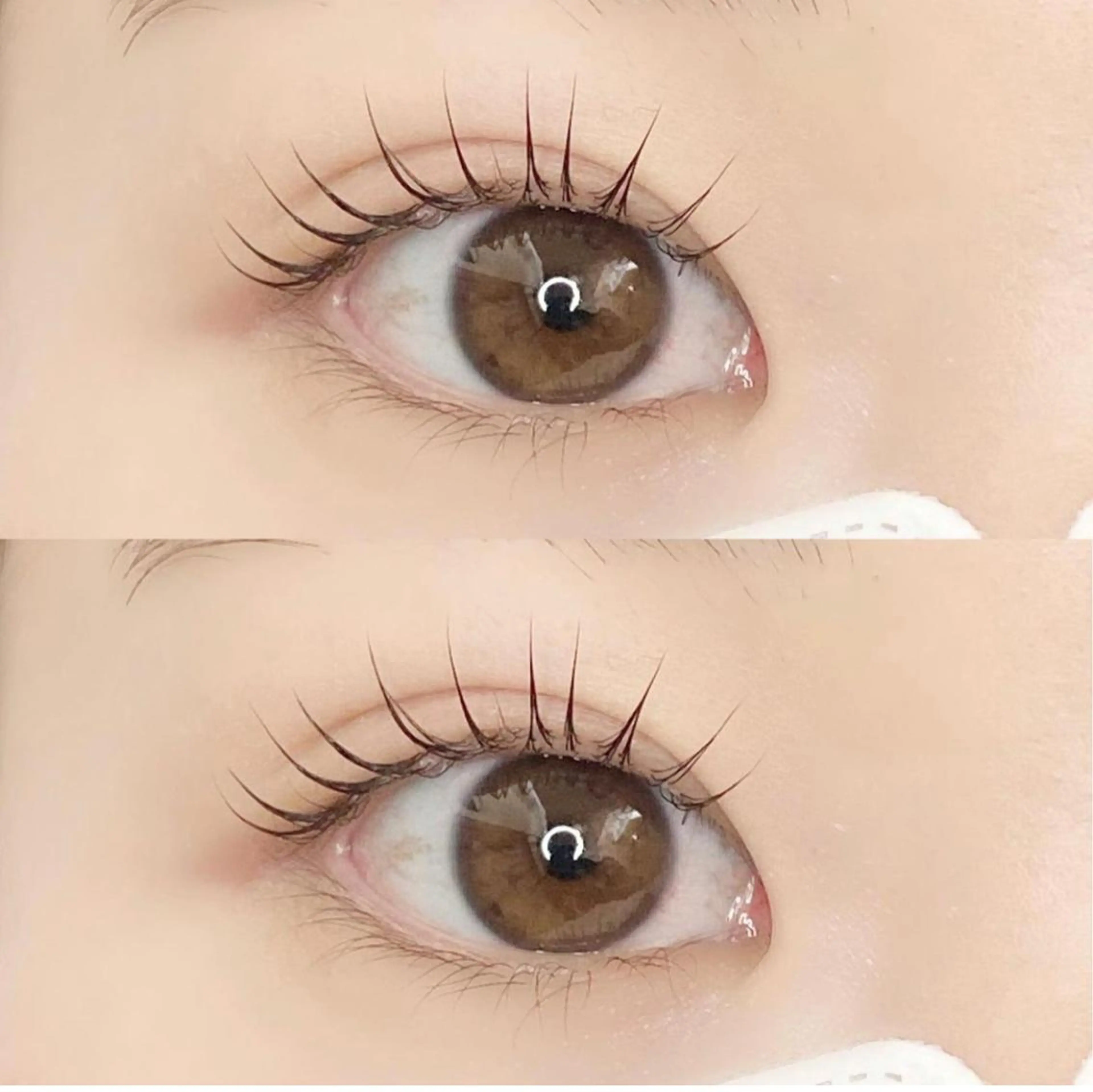 🕊️韓国風束感仕上げラッシュリフト🌱の写真