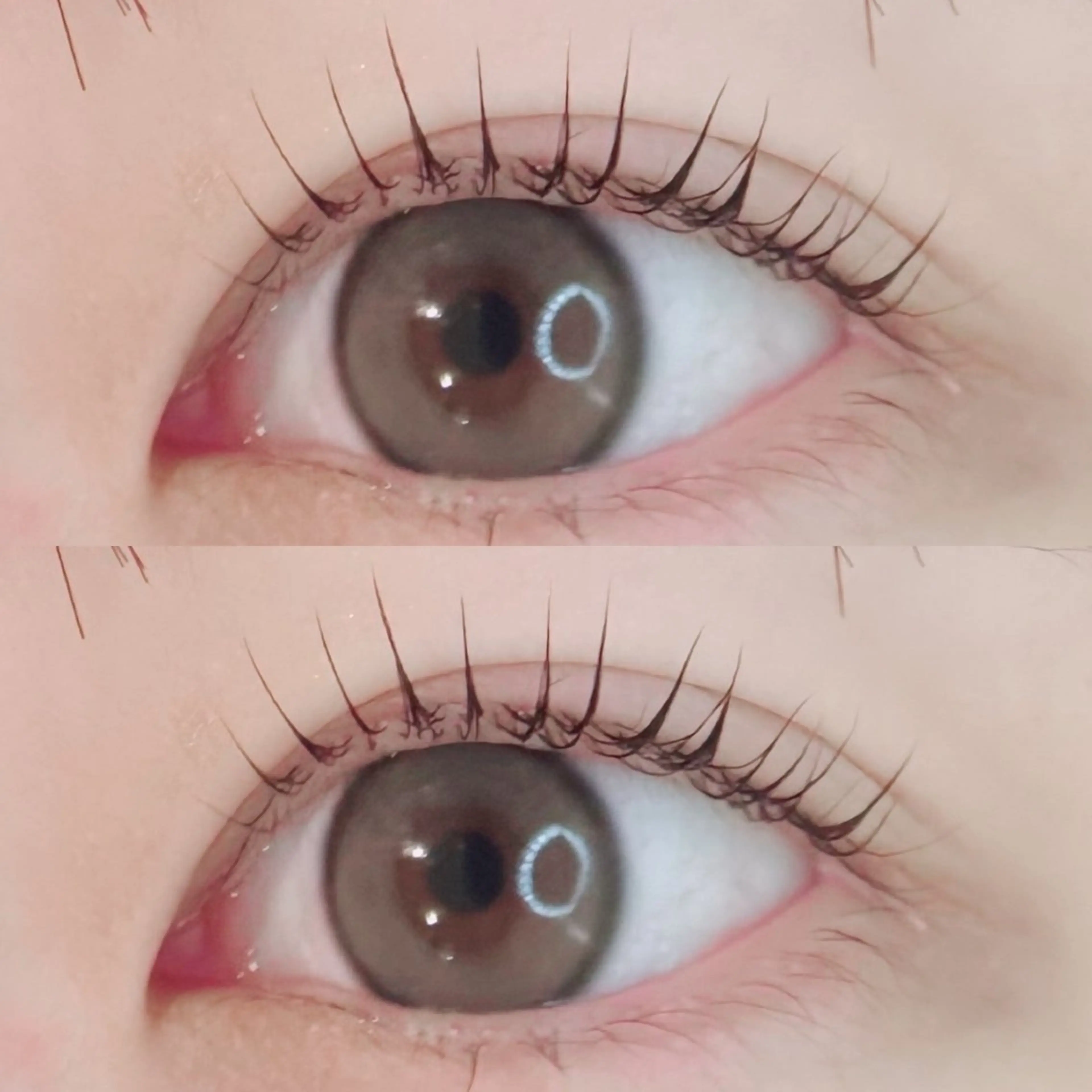 マツエク・マツパ マツパ Koa🦋ma ho🦋のその他イメージ