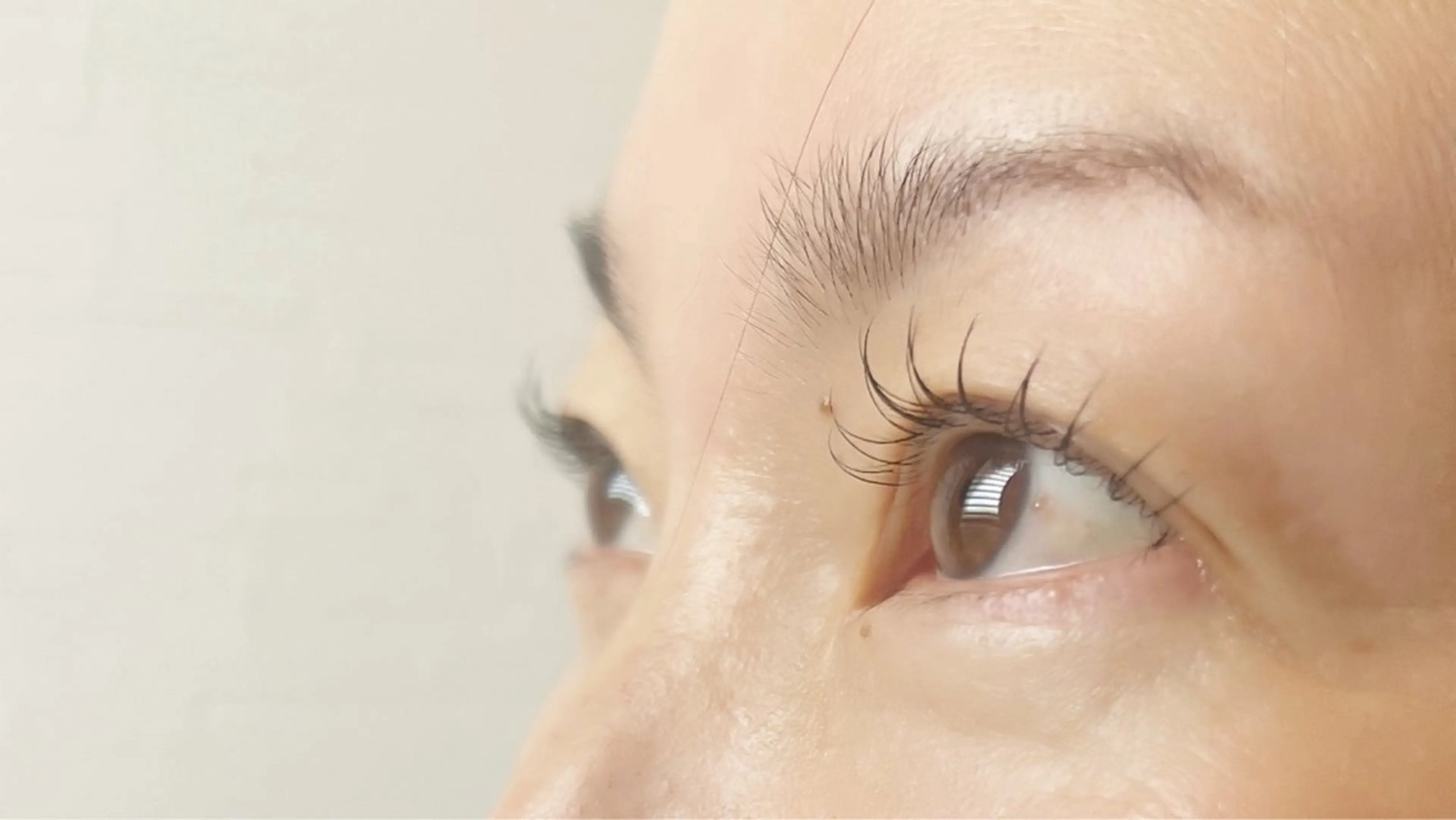 マツエク・マツパ Law 裾野のマツエク・マツパデザイン