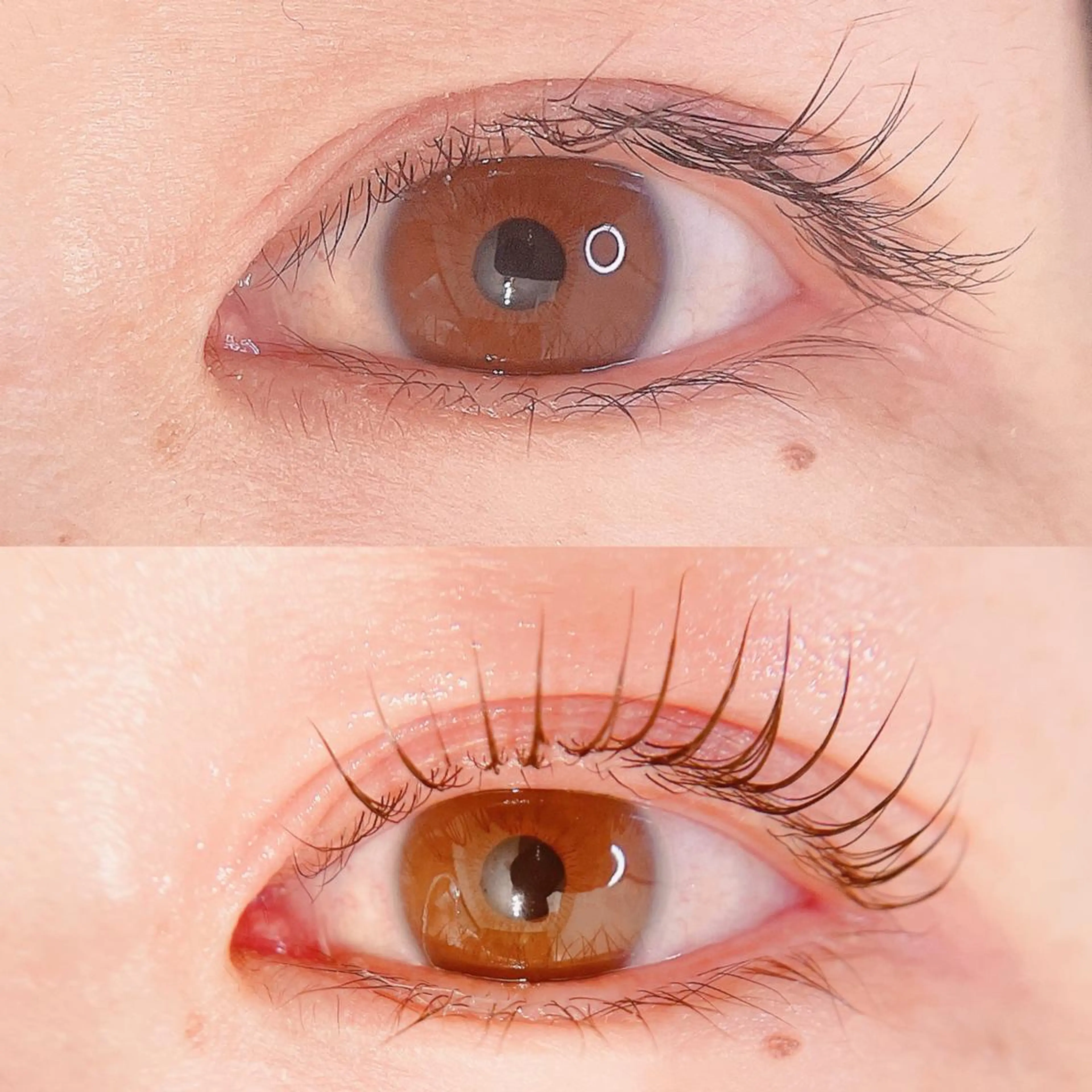 マツエク・マツパ 一重×まつ毛パーマ マツパ 森崎 麗のマツエク・マツパデザイン