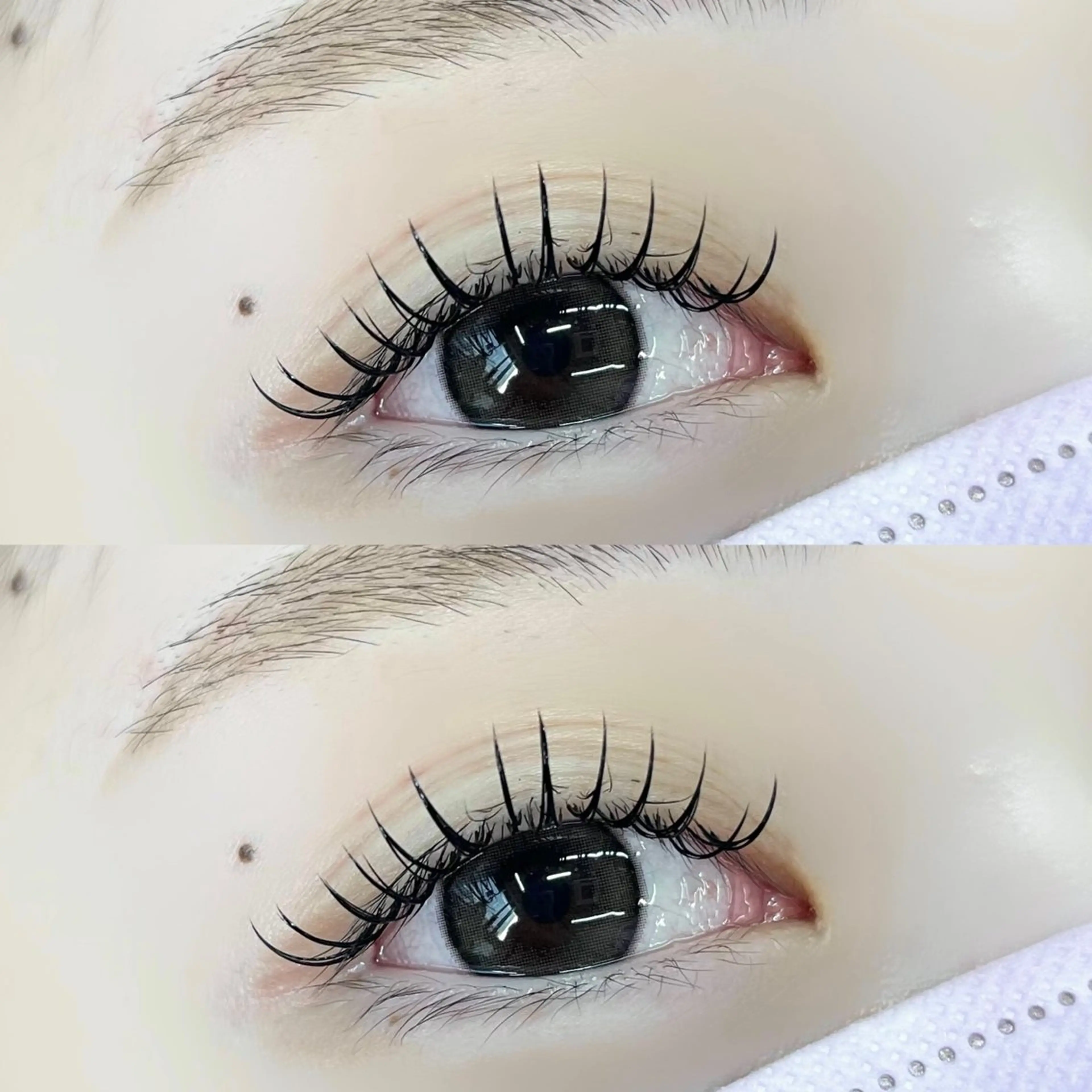 マツエク・マツパ マツエク 【LILY】伊沢/ バインド/パリ/エクのマツエク・マツパデザイン