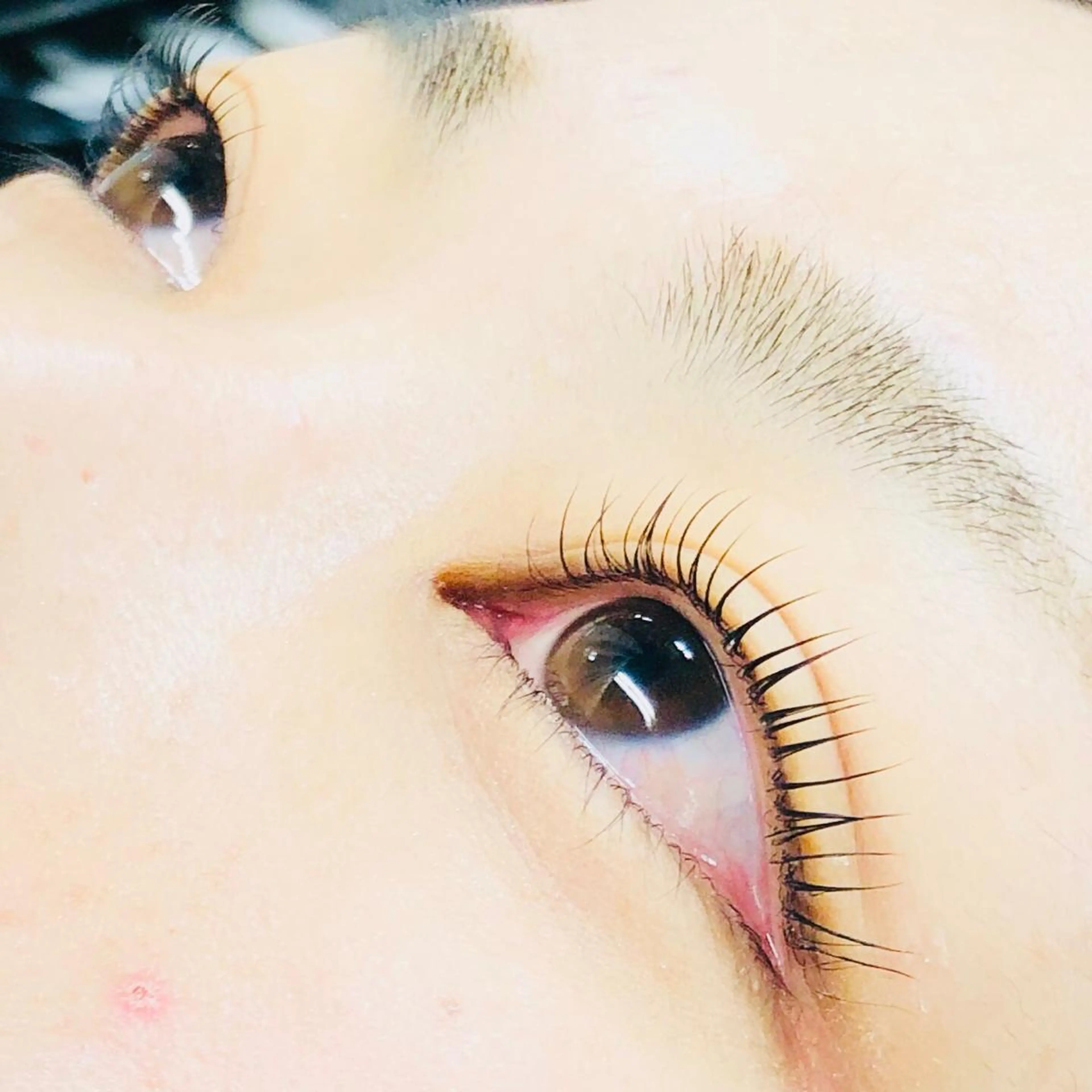 マツエク・マツパ private    salon moco所属・まつ毛&ワックス脱毛 tomoの眉毛・アイブロウイメージ