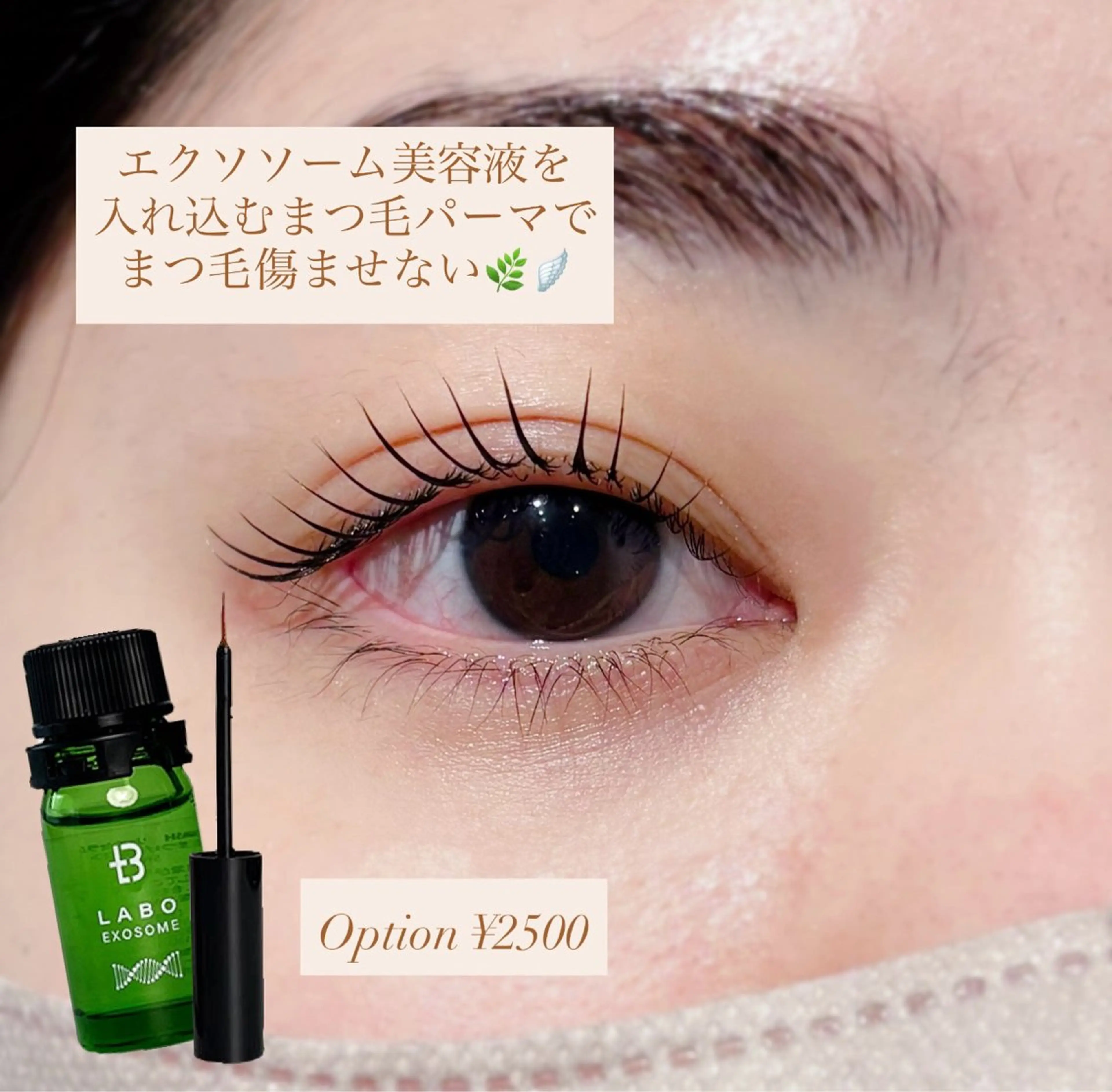 マツエク・マツパ マツパ Biolus/天王寺 本店💠momo💠のマツエク・マツパデザイン