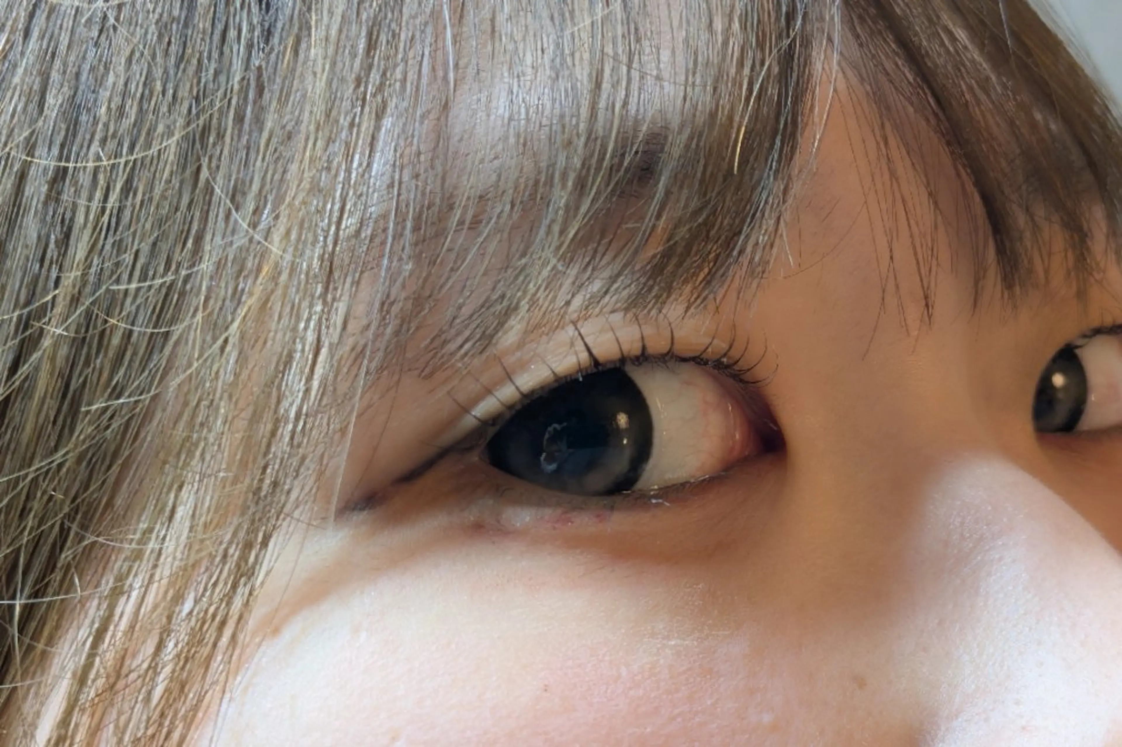 マツエク・マツパ まつげパーマ Sun Brown Ryu-gaのマツエク・マツパデザイン