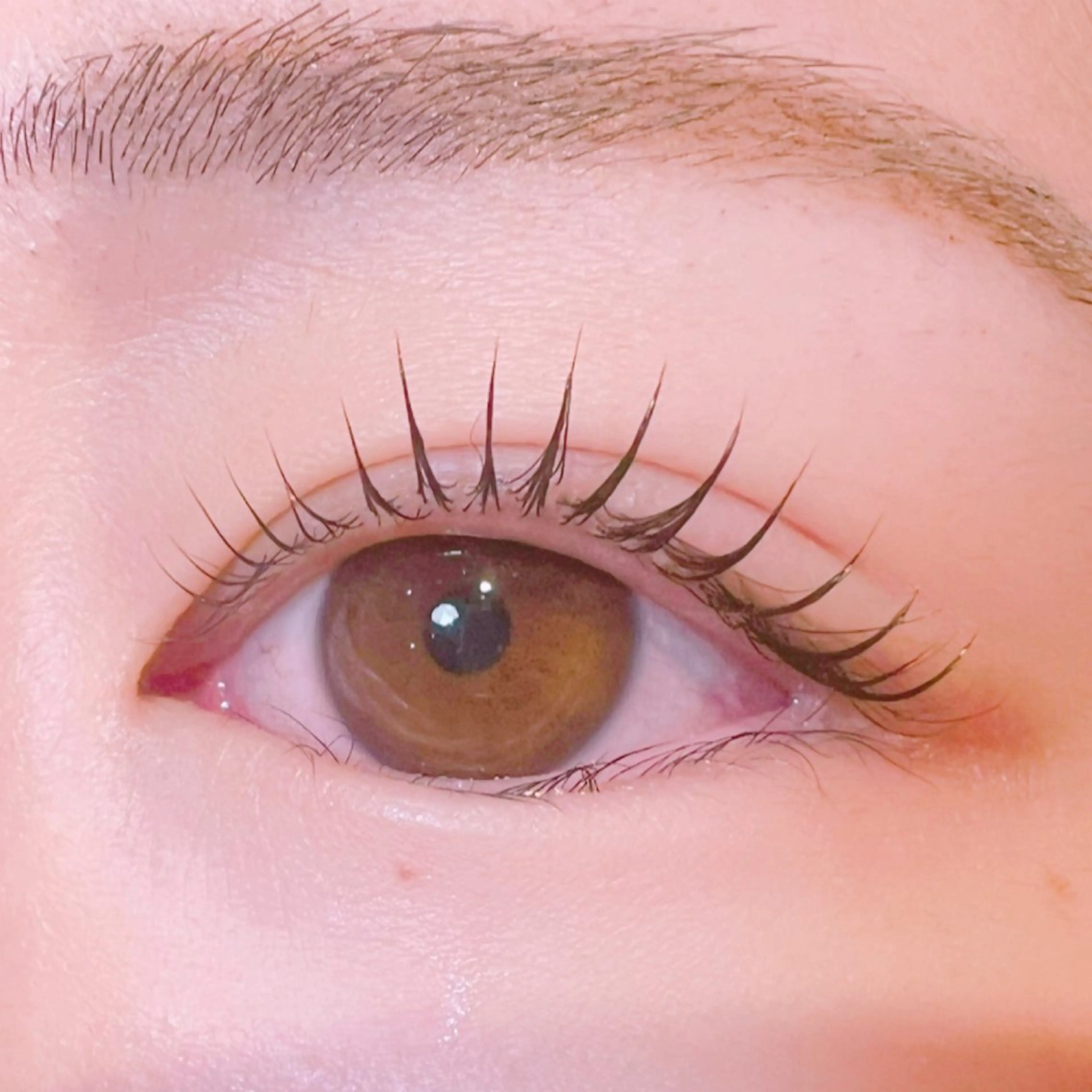 【人気No.1メニュー】🫧ラッシュリフト（Parisinne含む）コーティング束間仕上げ💫の写真