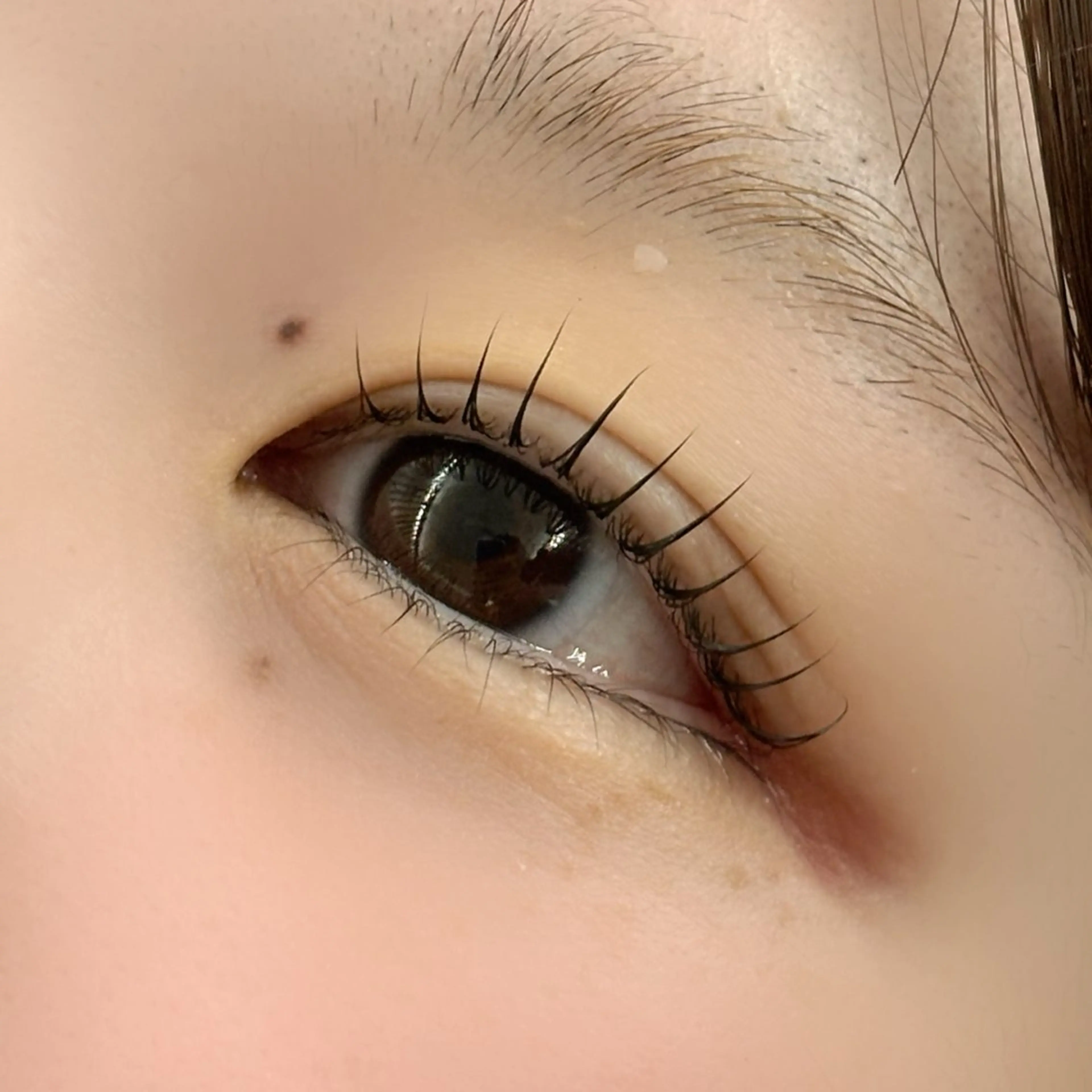 マツエク・マツパ マツパ MIKU アイリストのマツエク・マツパデザイン