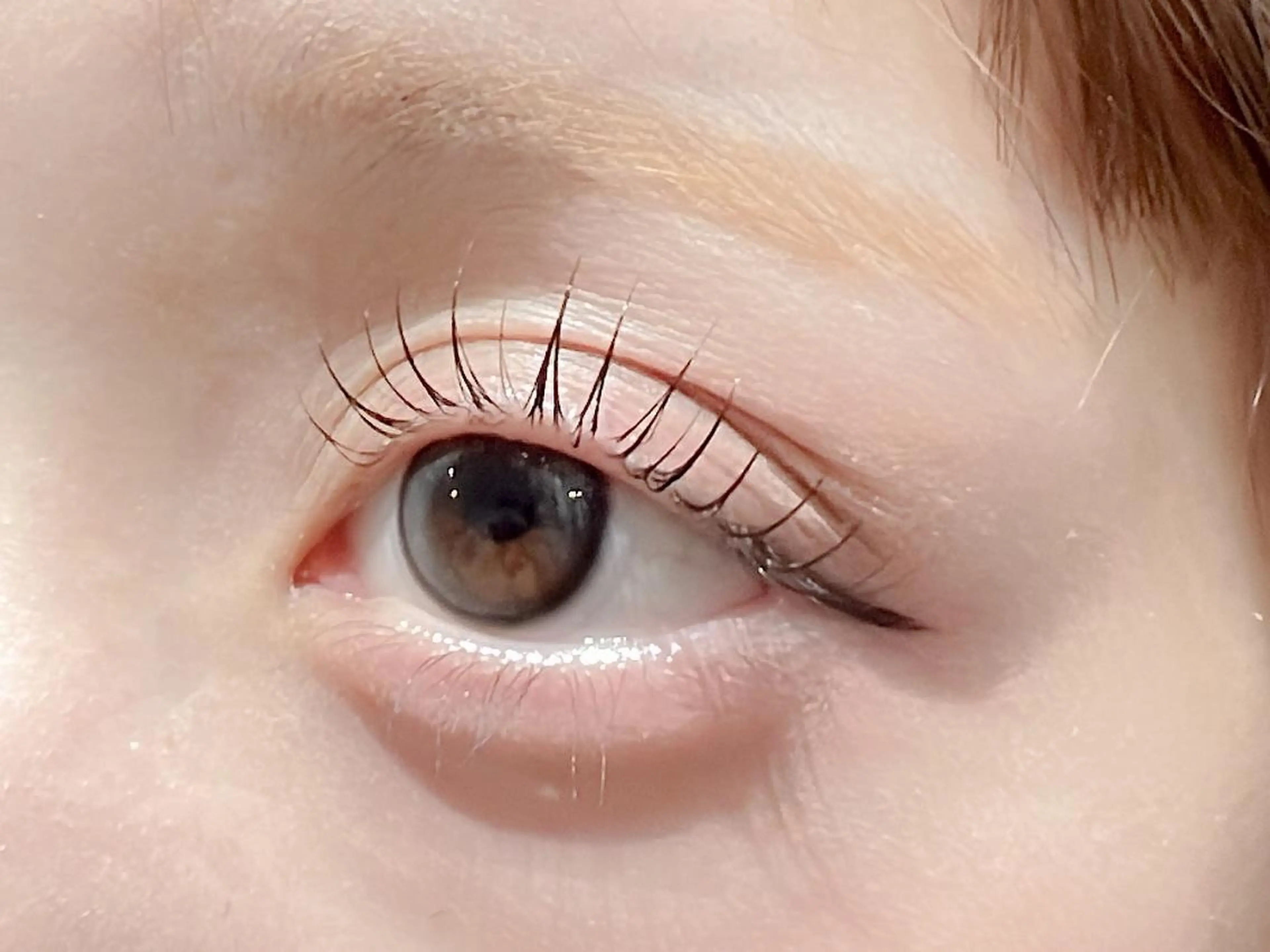 【新規】本日限定⭐まつげパーマ上¥1990の写真