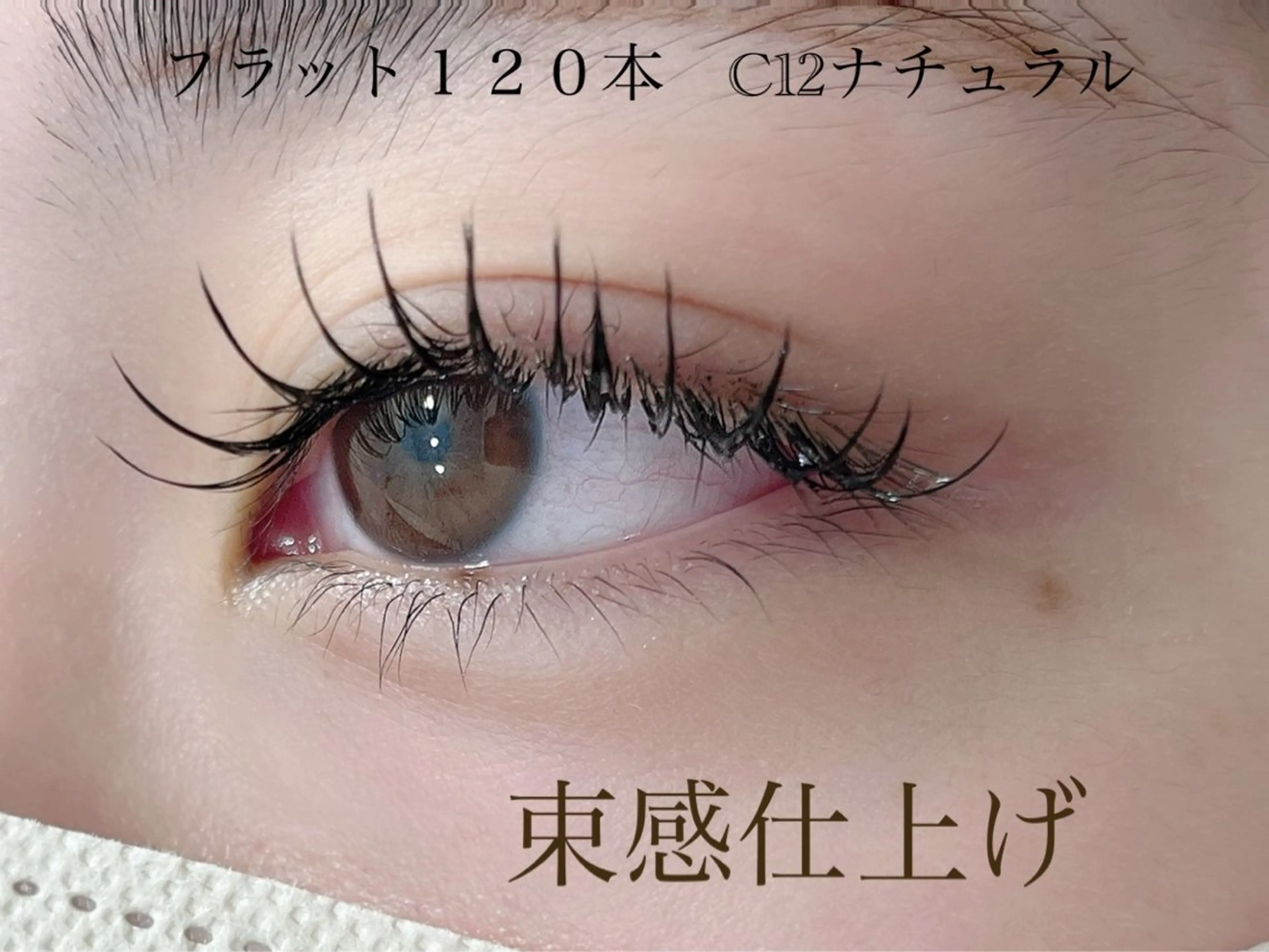 マツエク・マツパ マツエク 髪処知会サロン内 can eyelash beauty所属・caneyelash beautyのマツエク・マツパデザイン