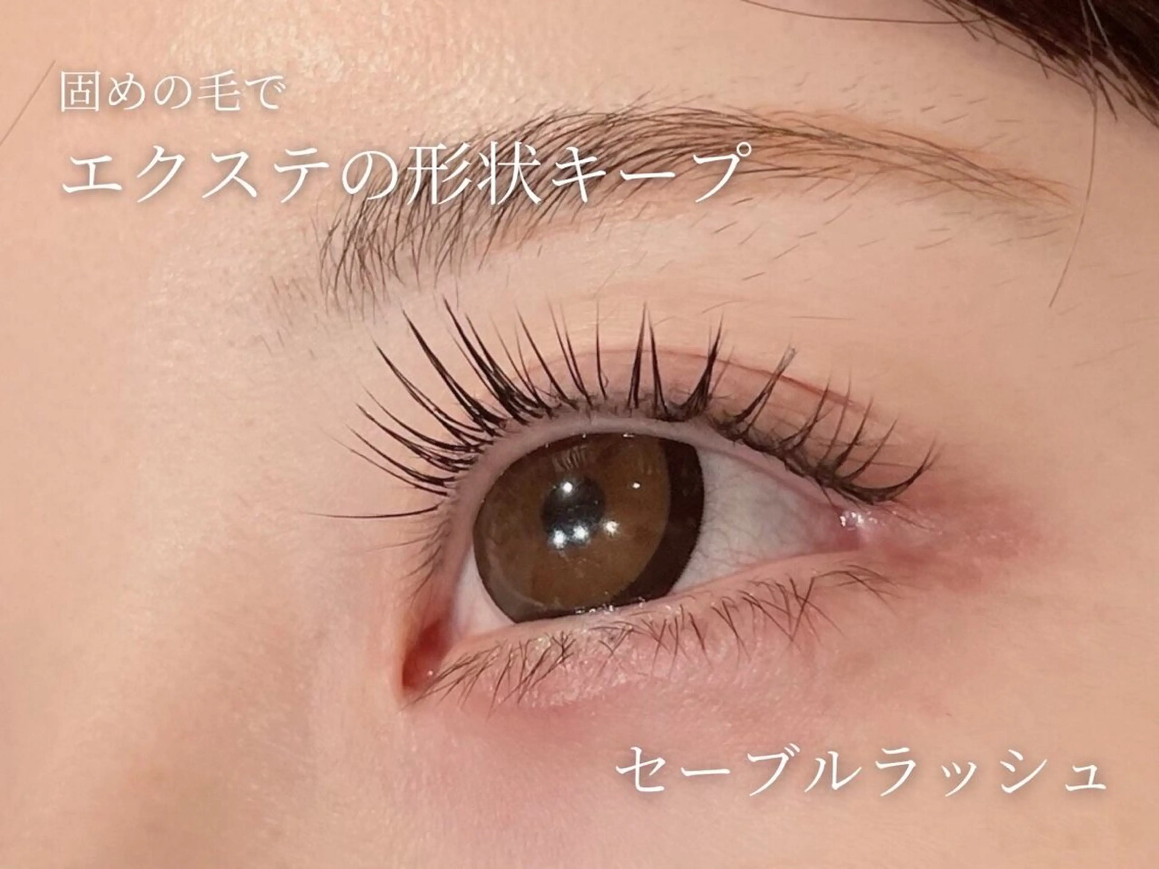 セーブルラッシュ（オフあり140本まで）の写真