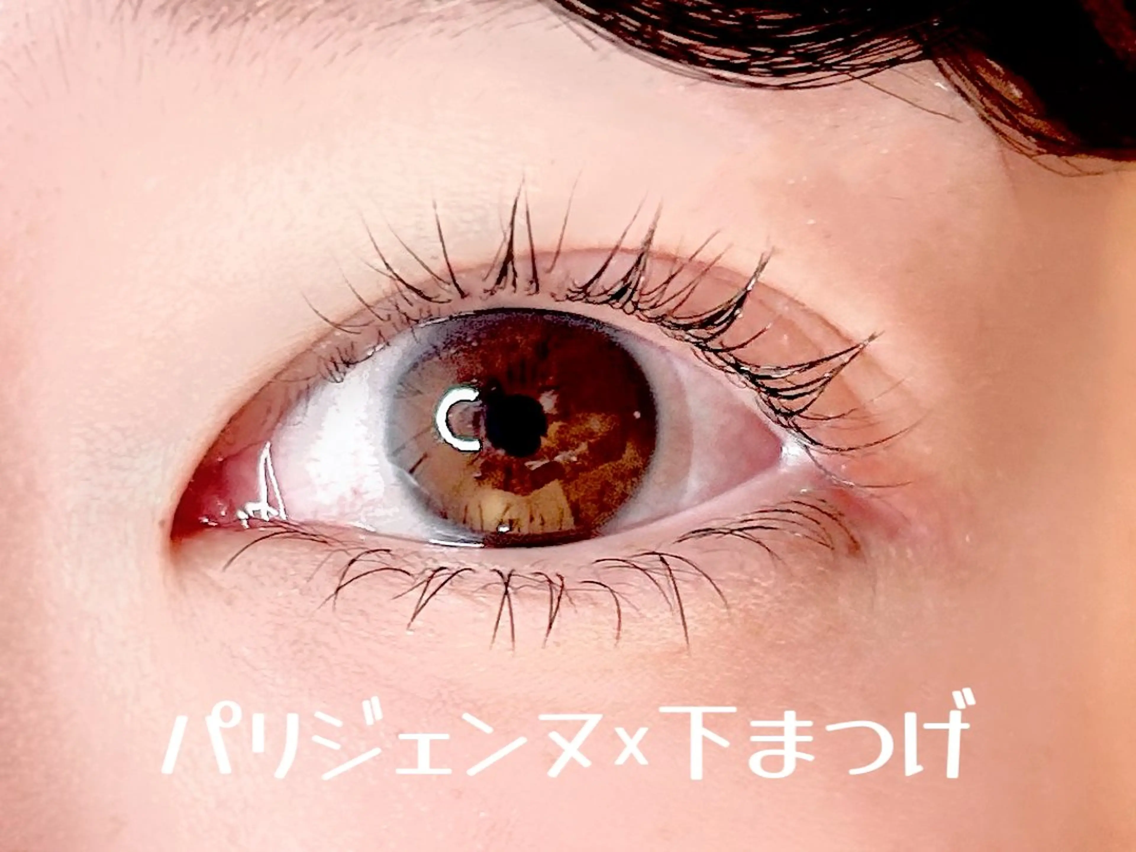 マツエク・マツパ ナチュラル マツパ elua eyelash所属・elua eyelashの眉毛・アイブロウイメージ