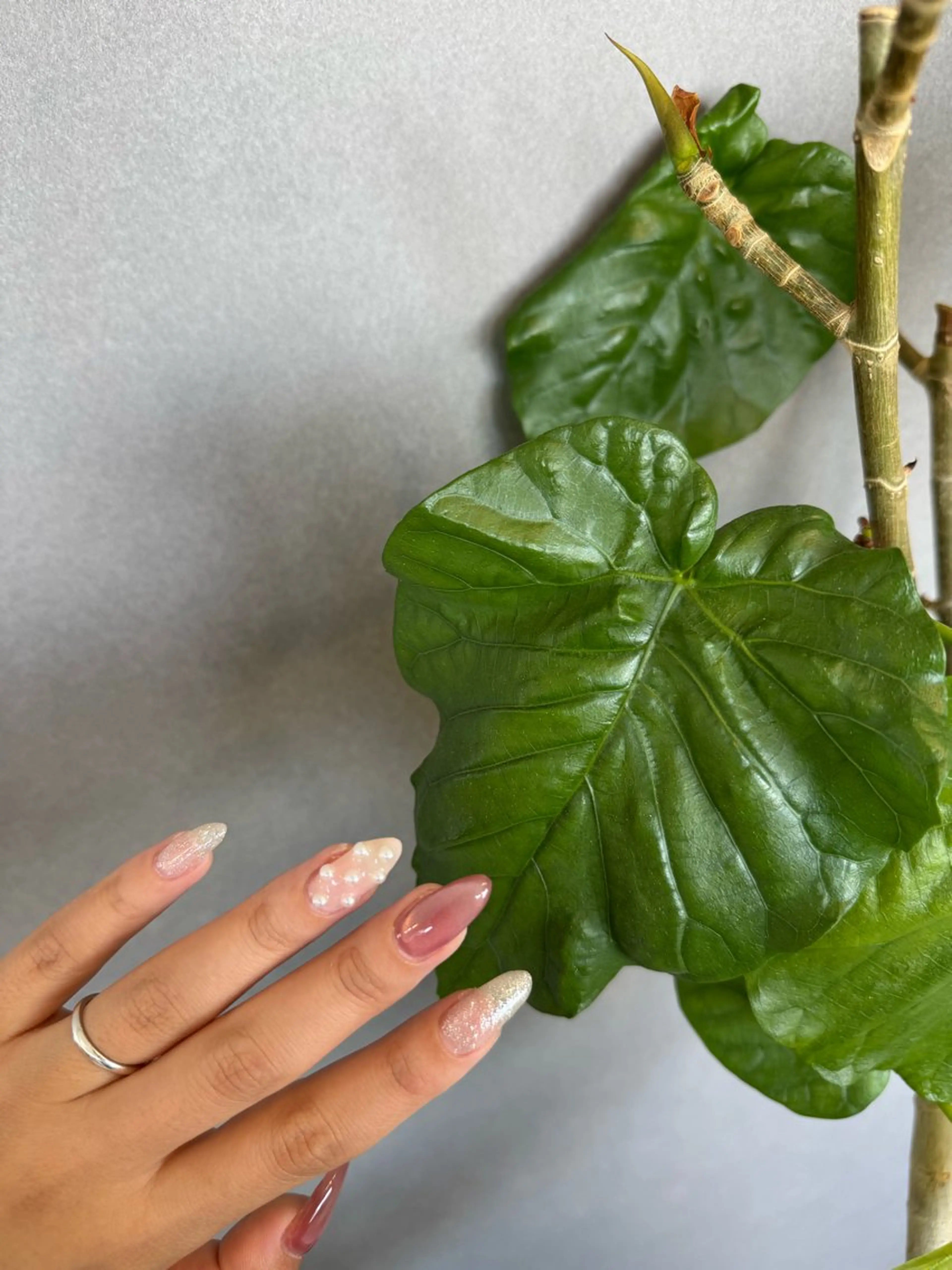 ネイル Apis juriのネイルデザイン