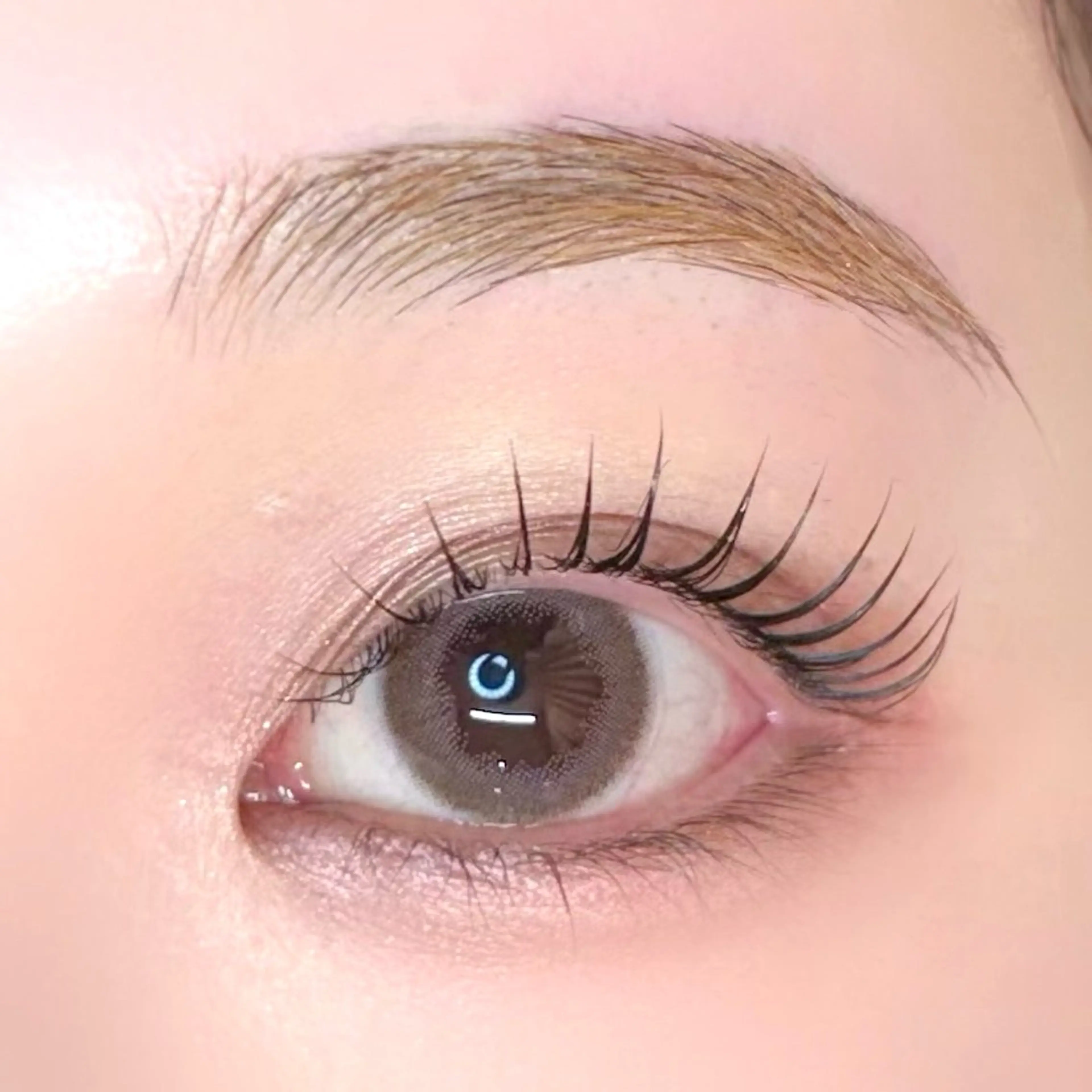 【set menu ᧔𐓪᧓】ラッシュリフト(パリジェンヌ含)+eyebrow wax treatment付の写真