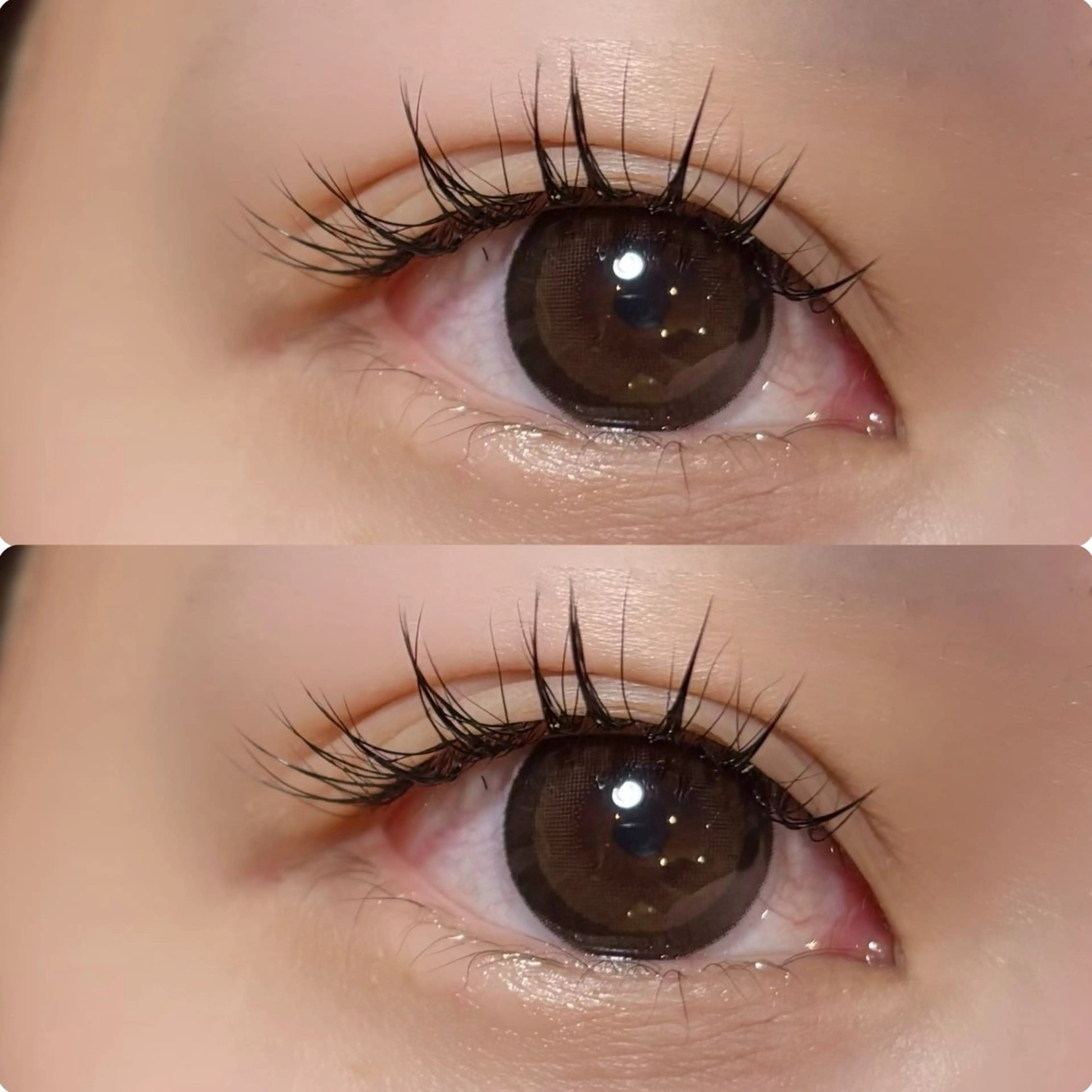 マツエク・マツパ マツエク meguru／マツパ ／マツエク／束感のマツエク・マツパデザイン