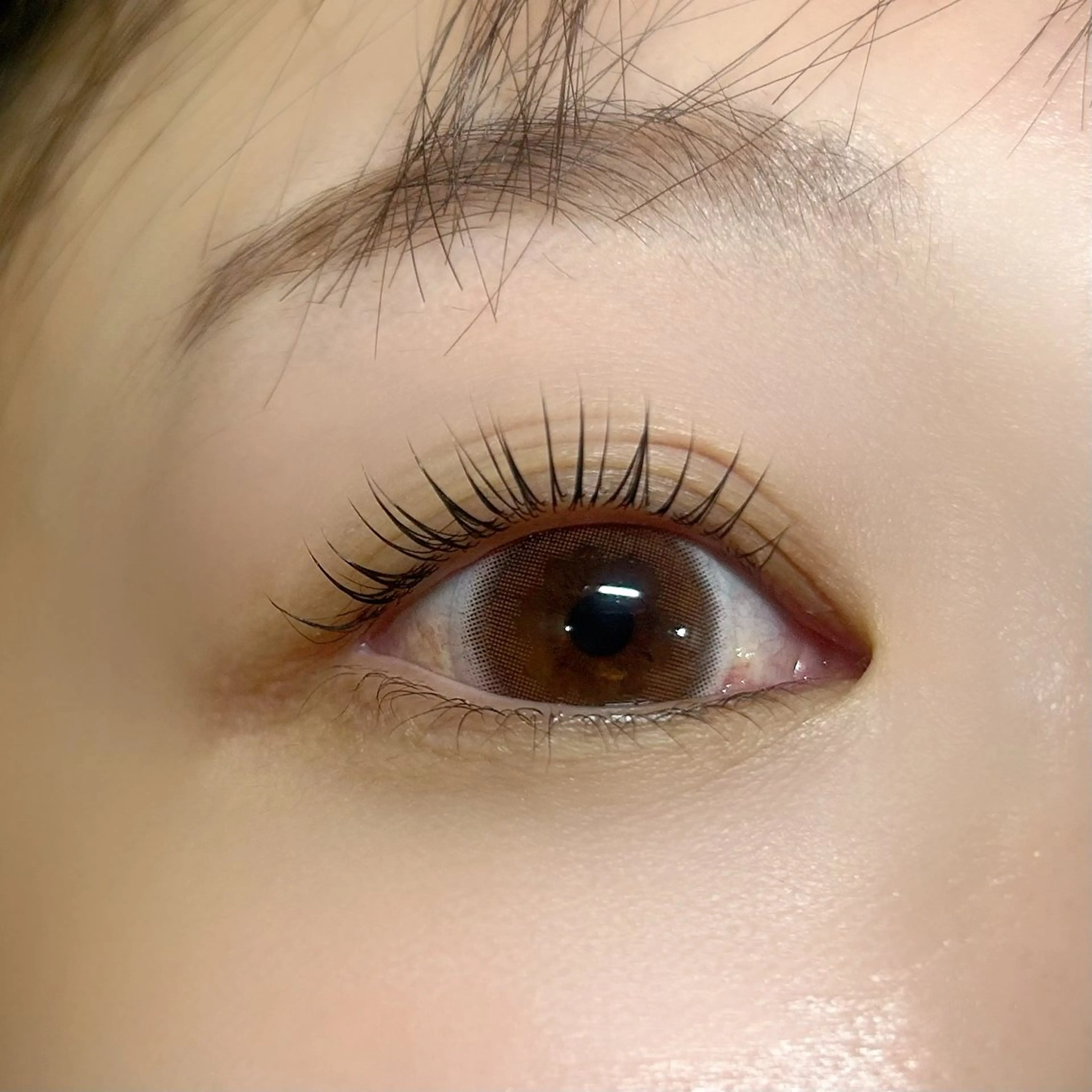 マツエク・マツパ 🌸アイリスト fujiwara🌸のマツエク・マツパデザイン