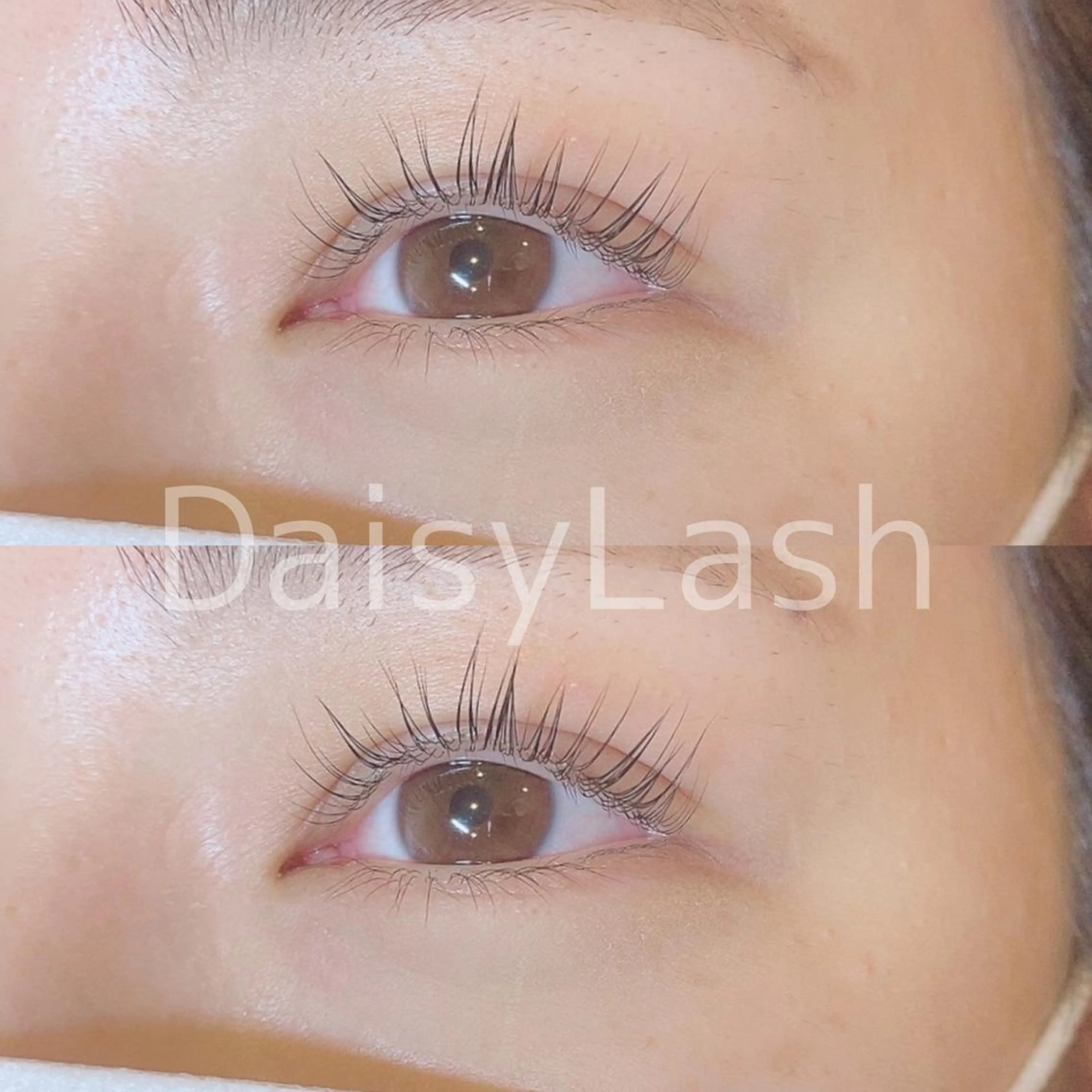 マツエク・マツパ DaisyLash 京橋店のマツエク・マツパデザイン