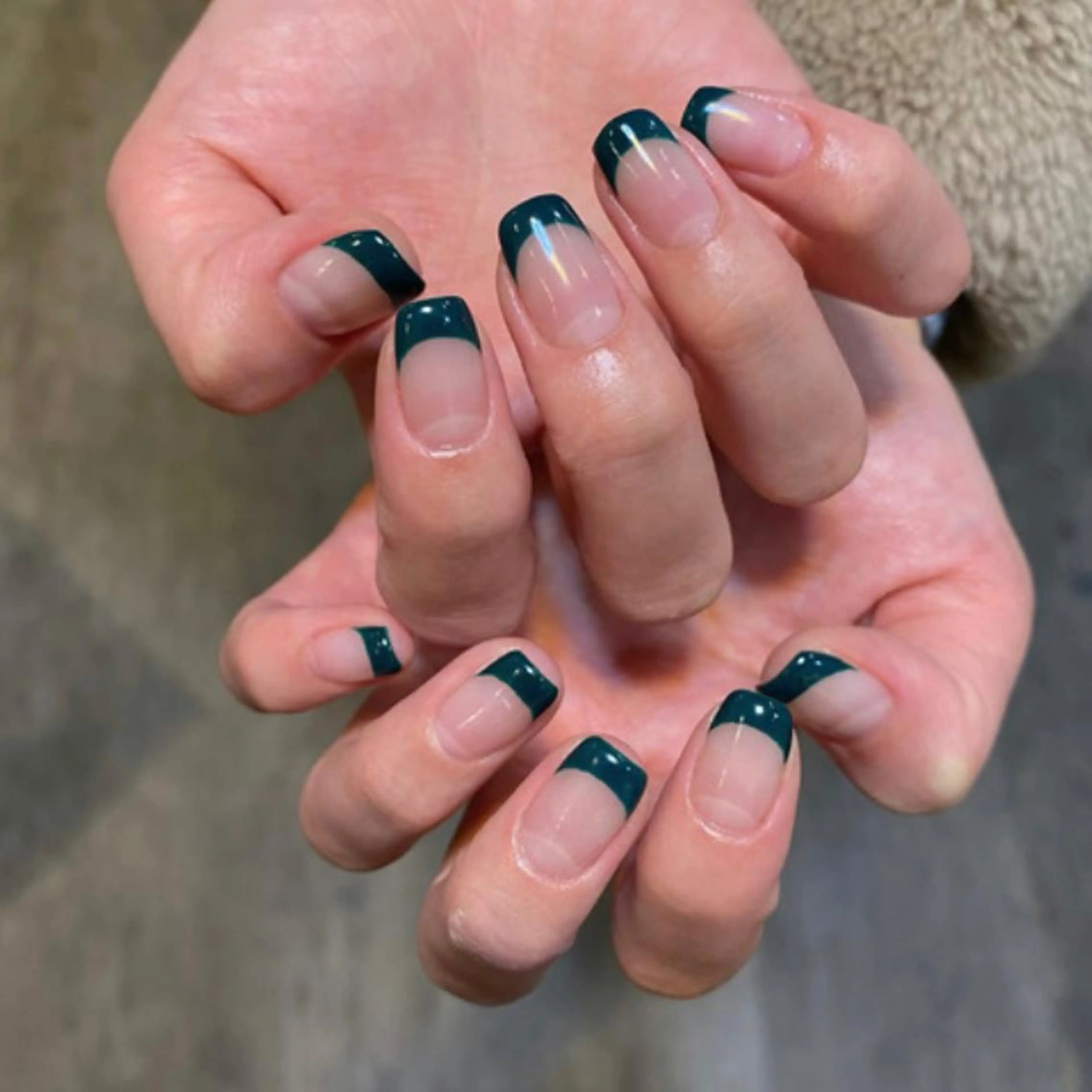 《初回オフ無料》フレンチの写真