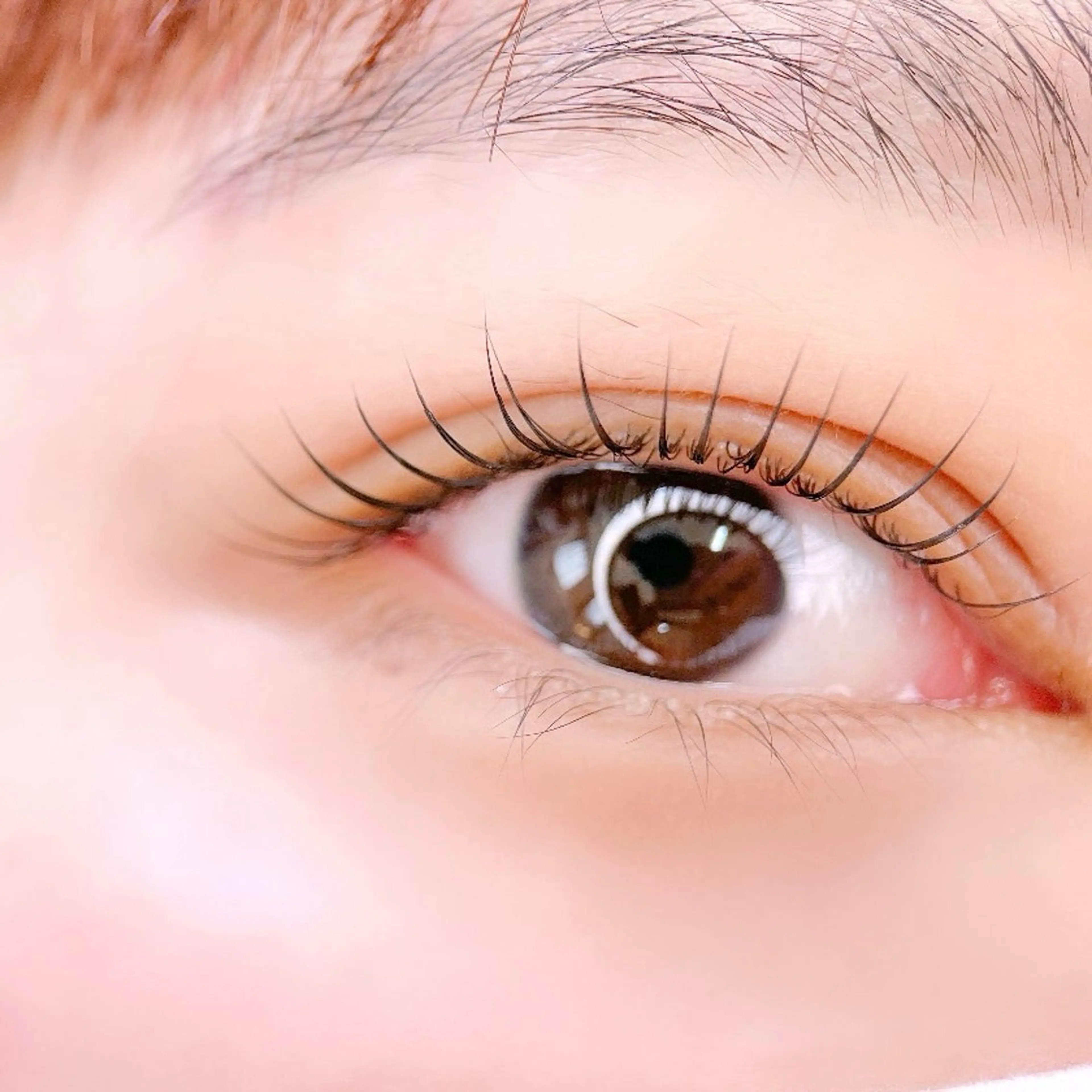 マツエク・マツパ 🩰ユ ウ 《eye&brow》のマツエク・マツパデザイン