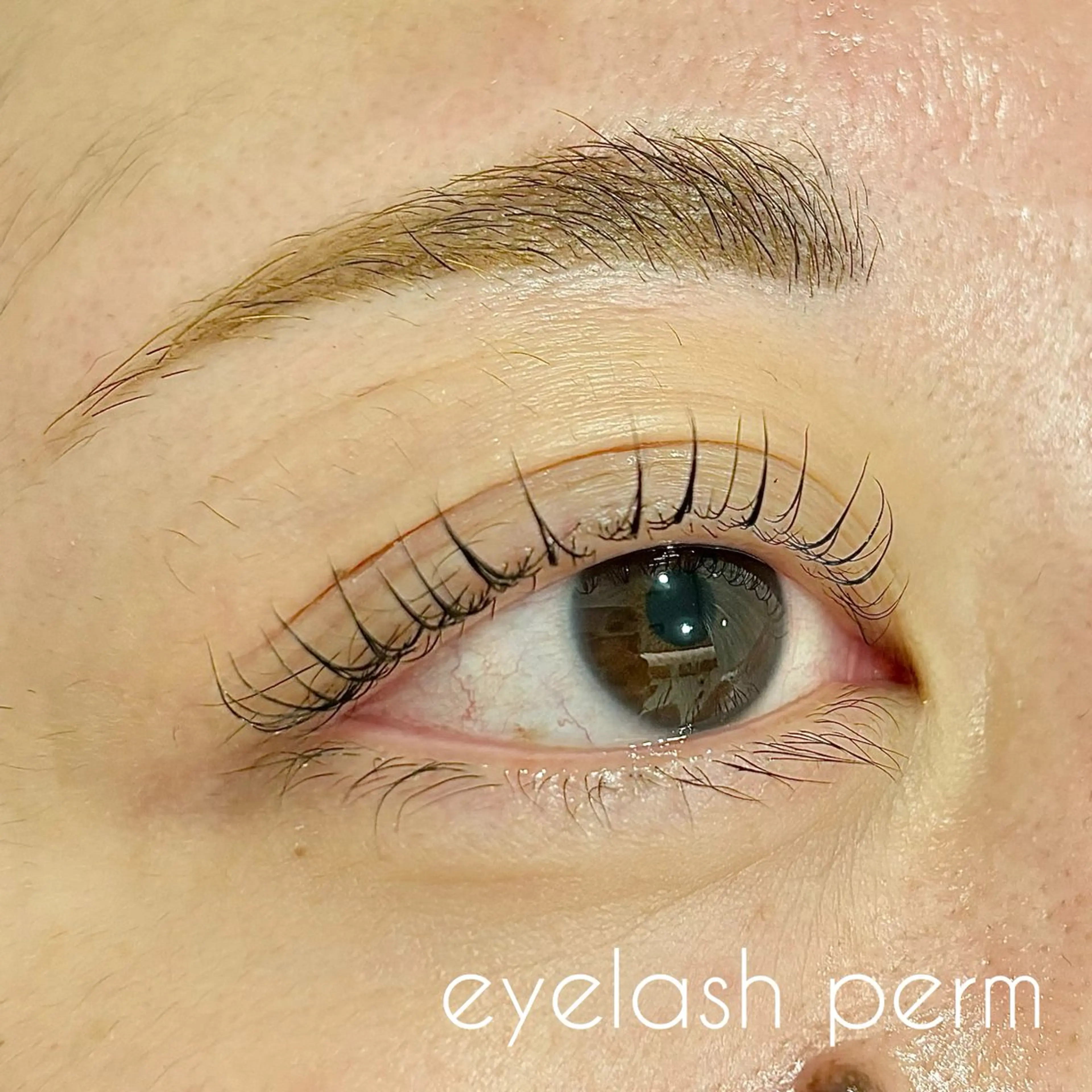 マツエク・マツパ パリジェンヌラッシュリフト ✧elpatio✧︎ 小出紗羅のマツエク・マツパデザイン