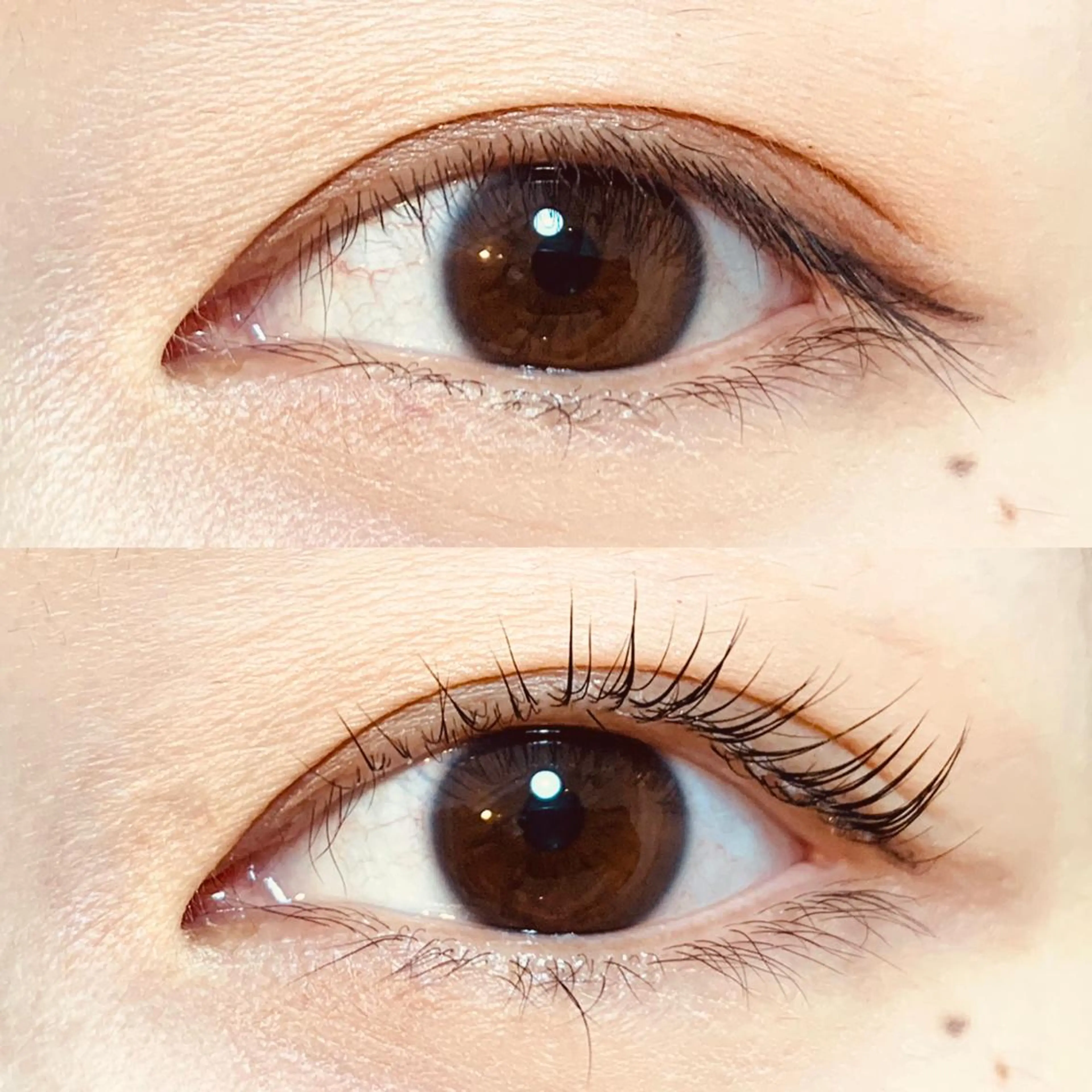 マツエク・マツパ まつげパーマ マツパ mist AYA 🏝️eyelashのマツエク・マツパデザイン