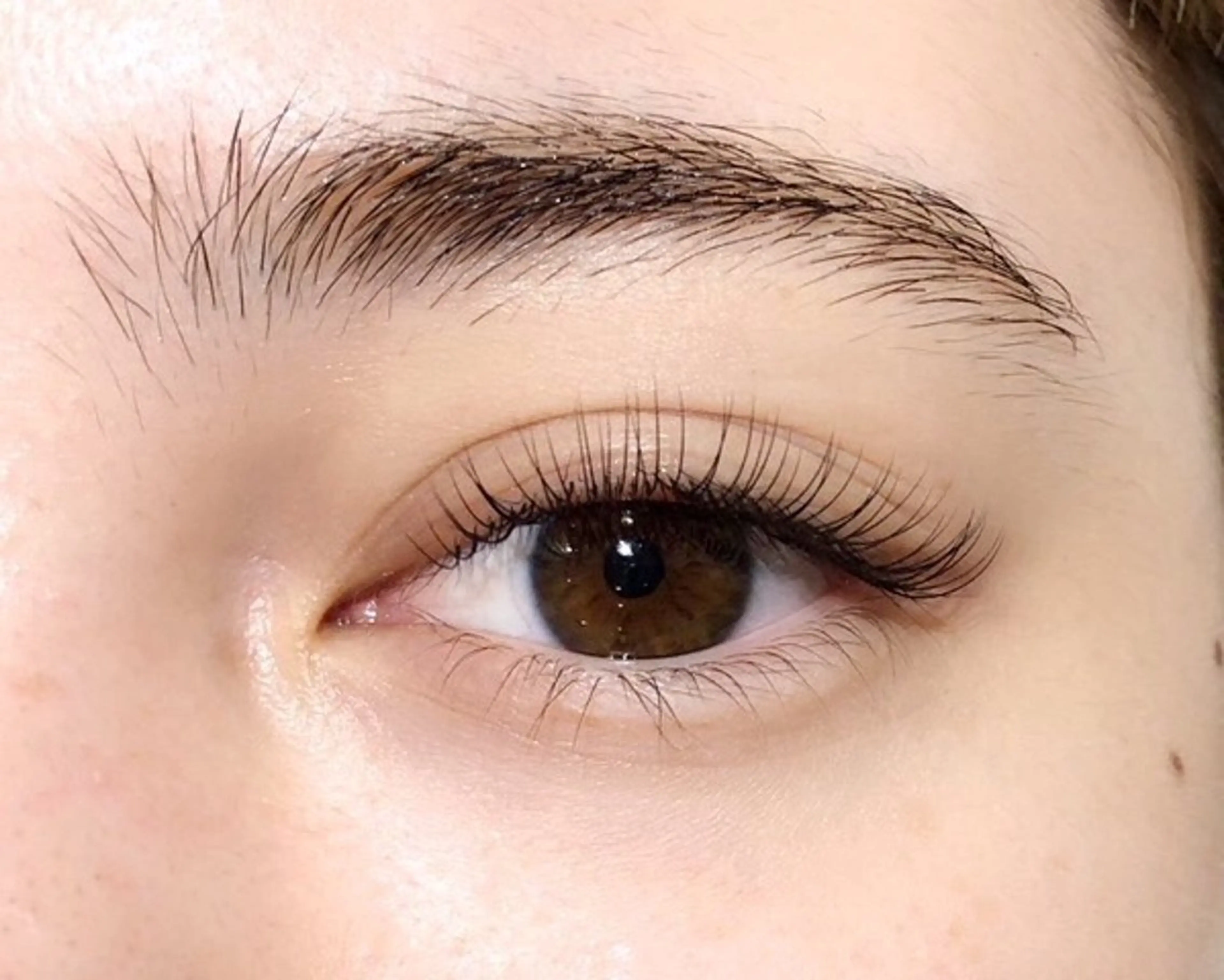 マツエク・マツパ 🎀ROCHIE八木 イケダ🎀🌟の眉毛・アイブロウイメージ