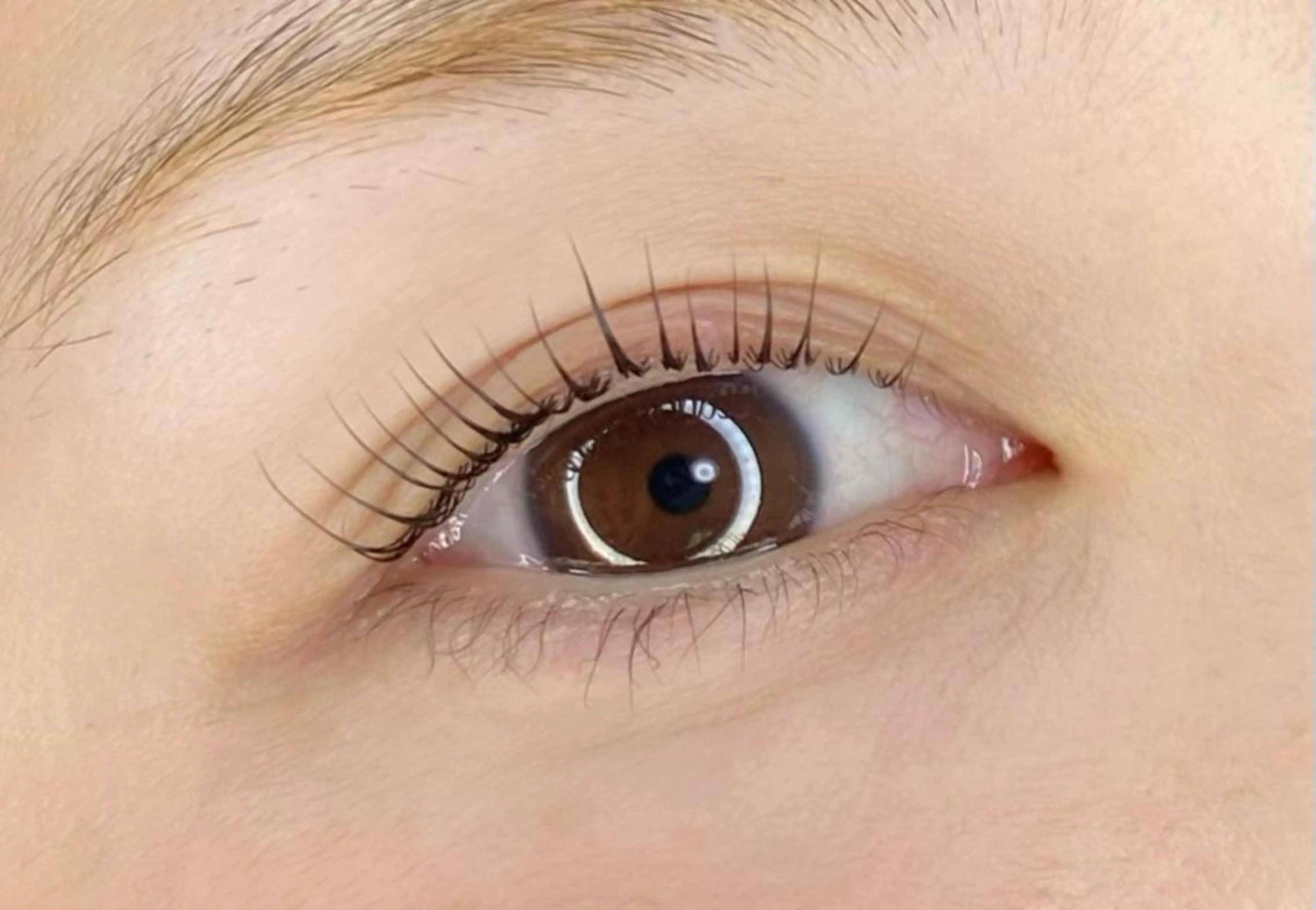 ラッシュリフト【まつげパーマ】コーティング付の写真