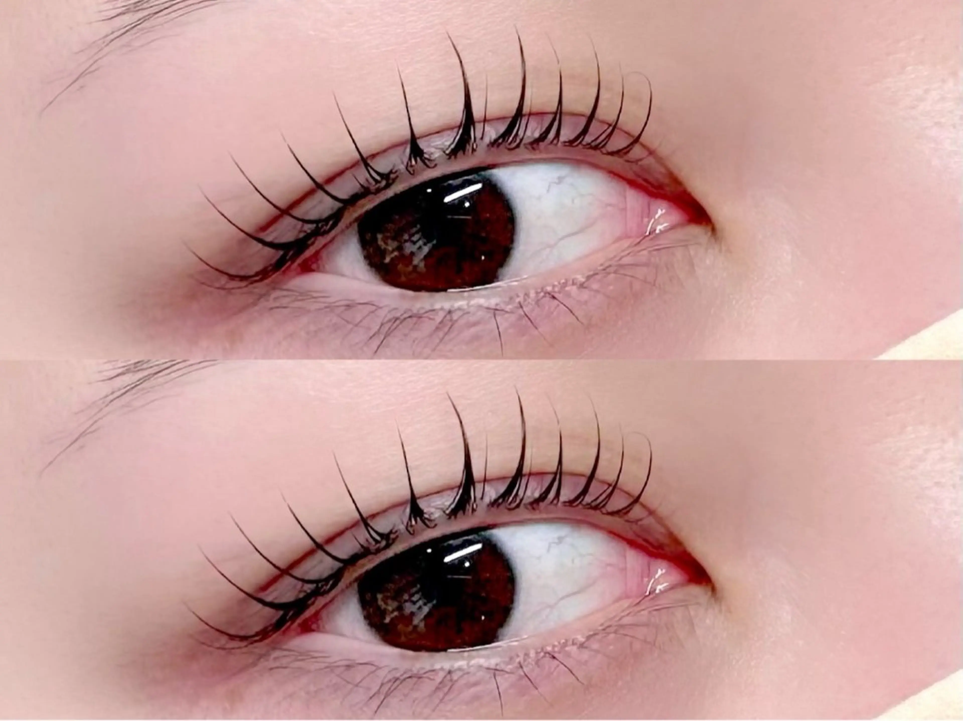 マツエク・マツパ パリジェンヌラッシュリフト まつげパーマ まつぱ/マツエク🪴 Cil 中崎町の眉毛・アイブロウイメージ