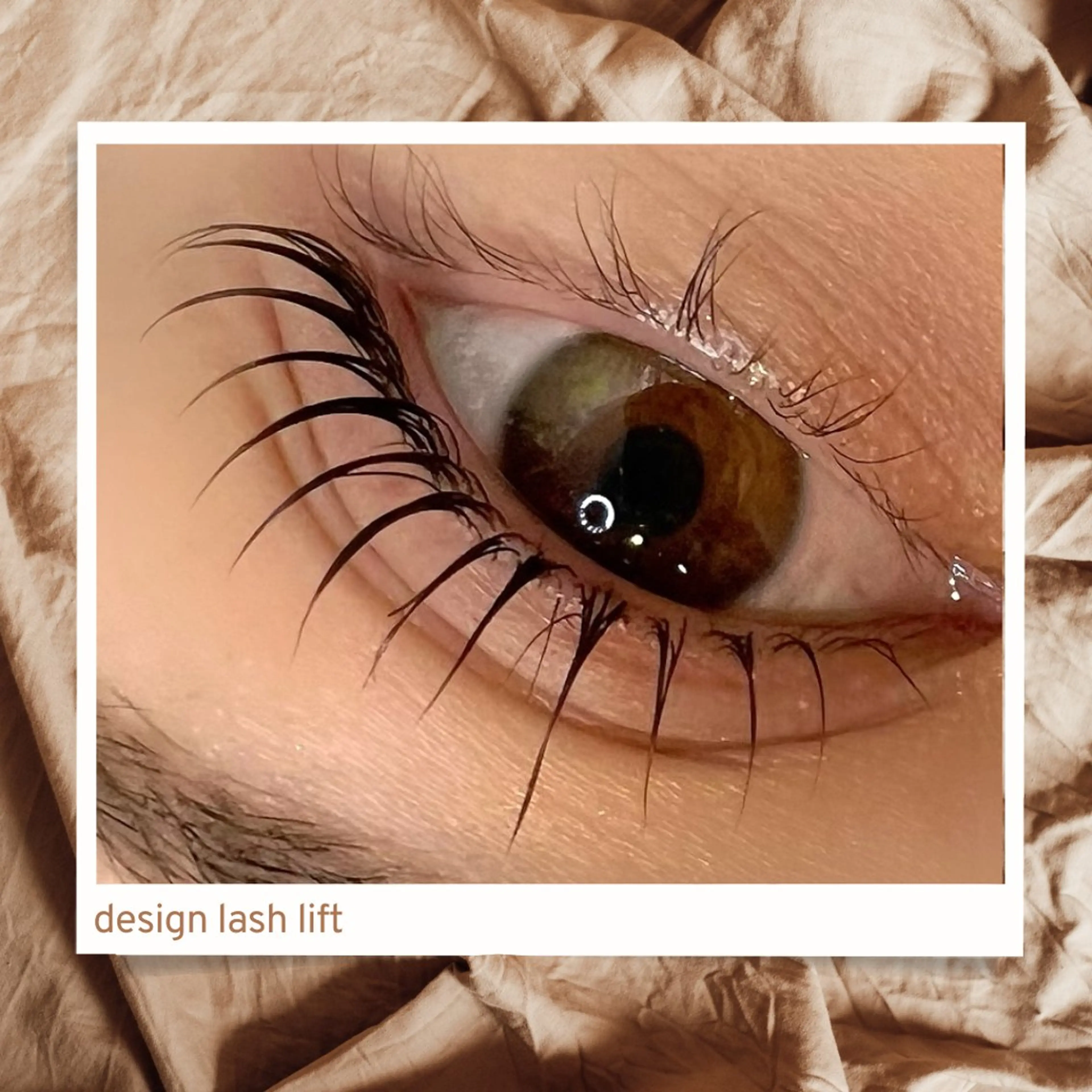 《人気no1メニュー》ラッシュリフト+パーソナルアイブロウ(眉ワックス+眉カット)の写真