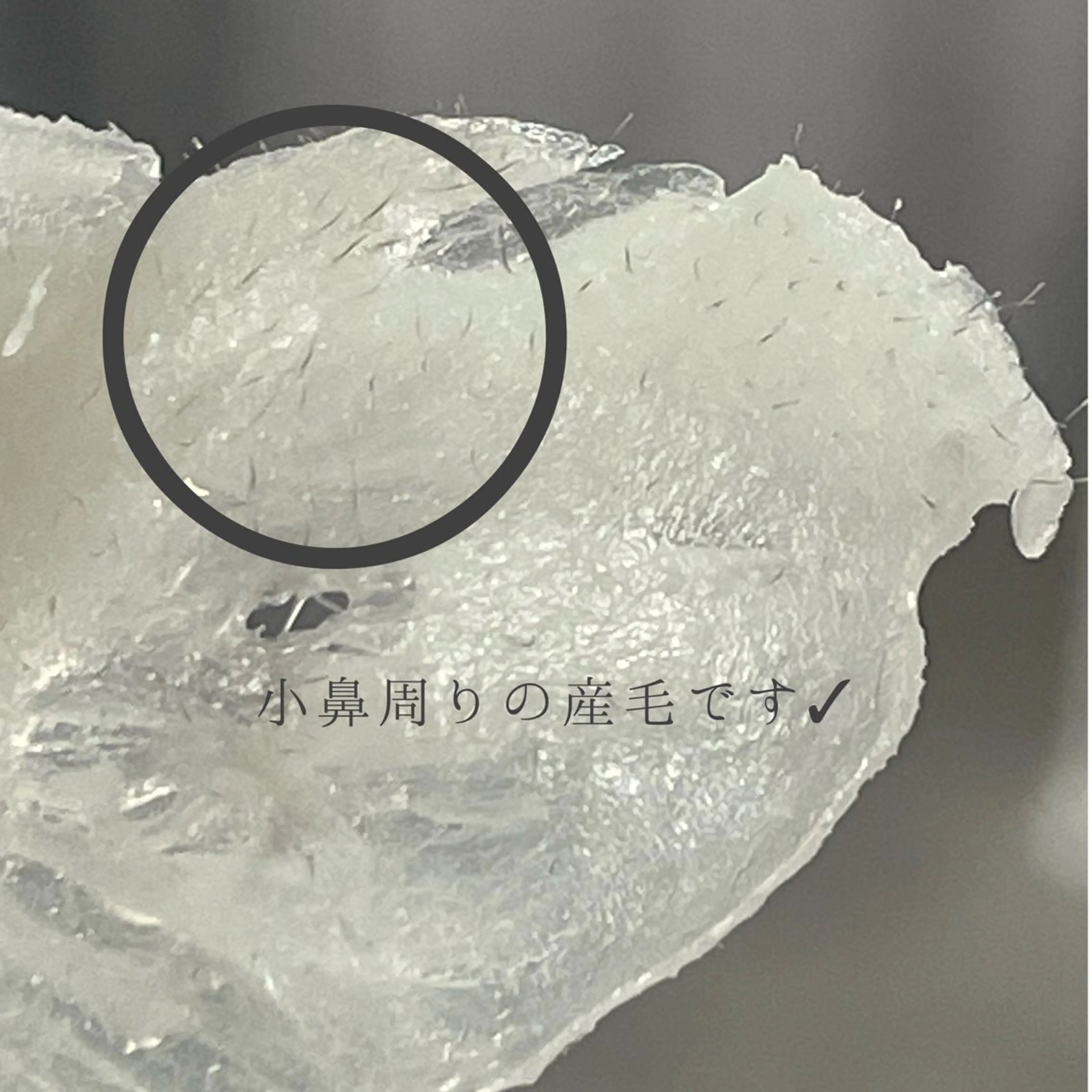 メンズ eclipse eyelashのマツエク・マツパデザイン