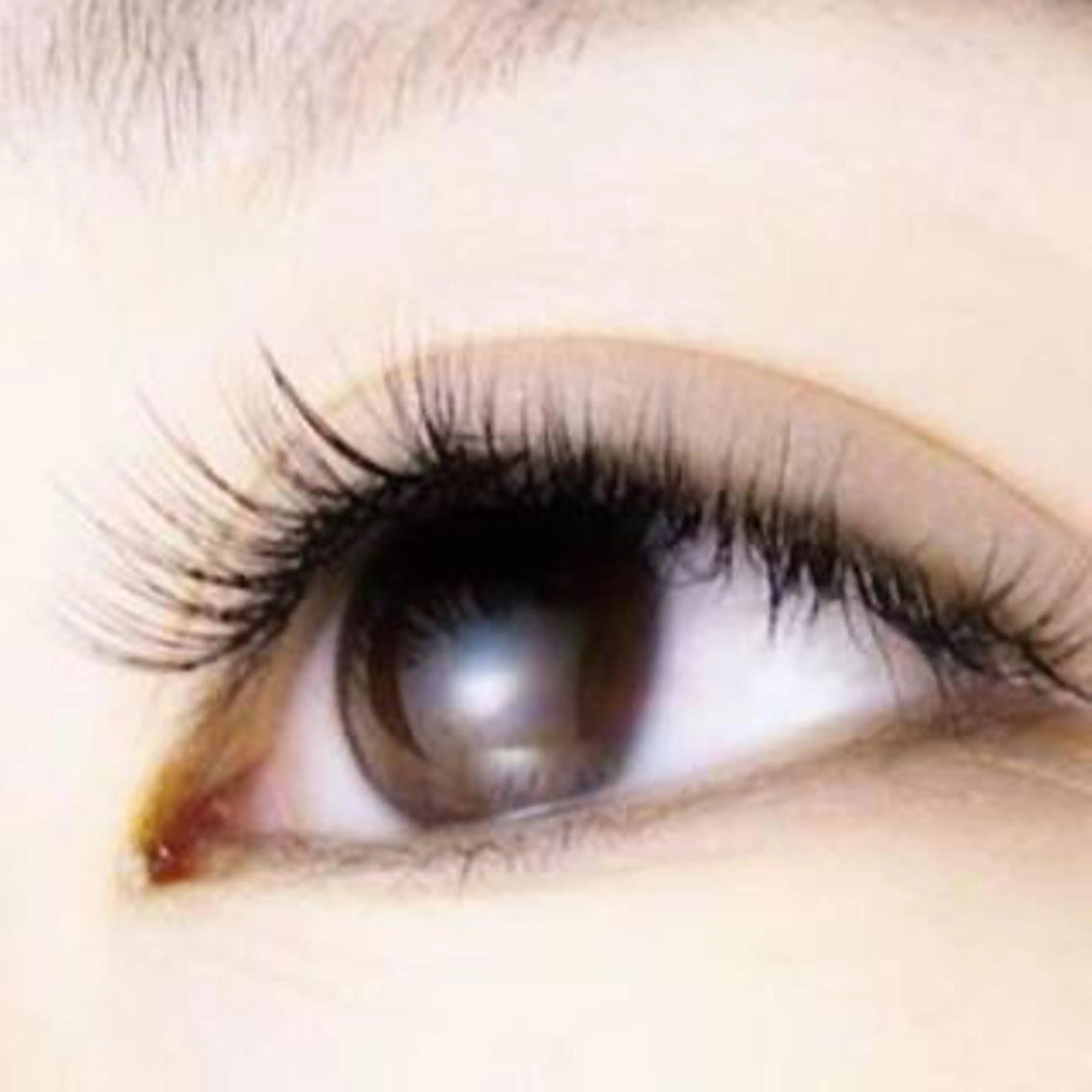 マツエク・マツパ ボリュームラッシュ mila.池袋LED エクステ・イガラシのマツエク・マツパデザイン