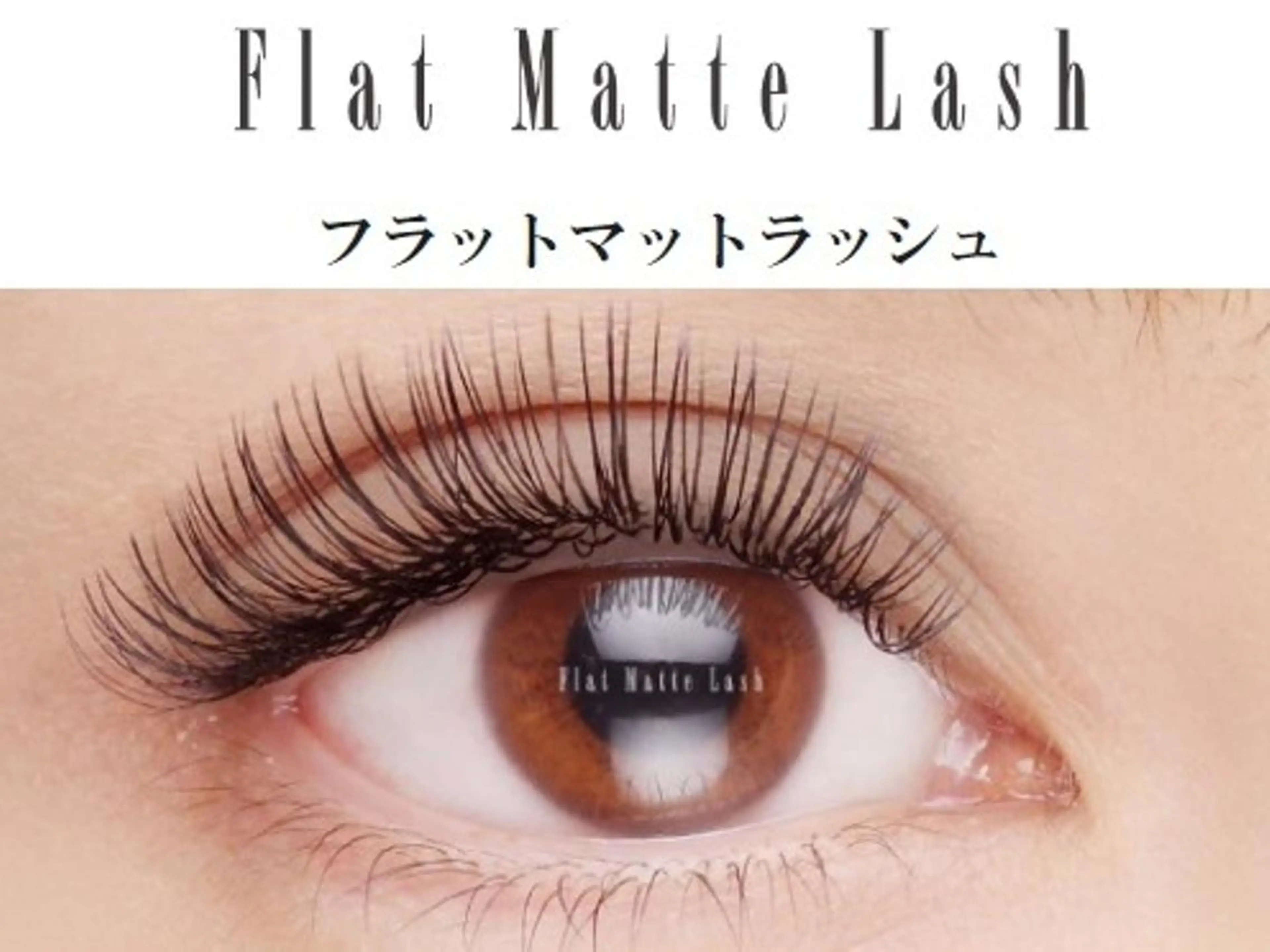 【オフあり】高持続フラットラッシュ100本★5500円コーティングをサービス🌷の写真