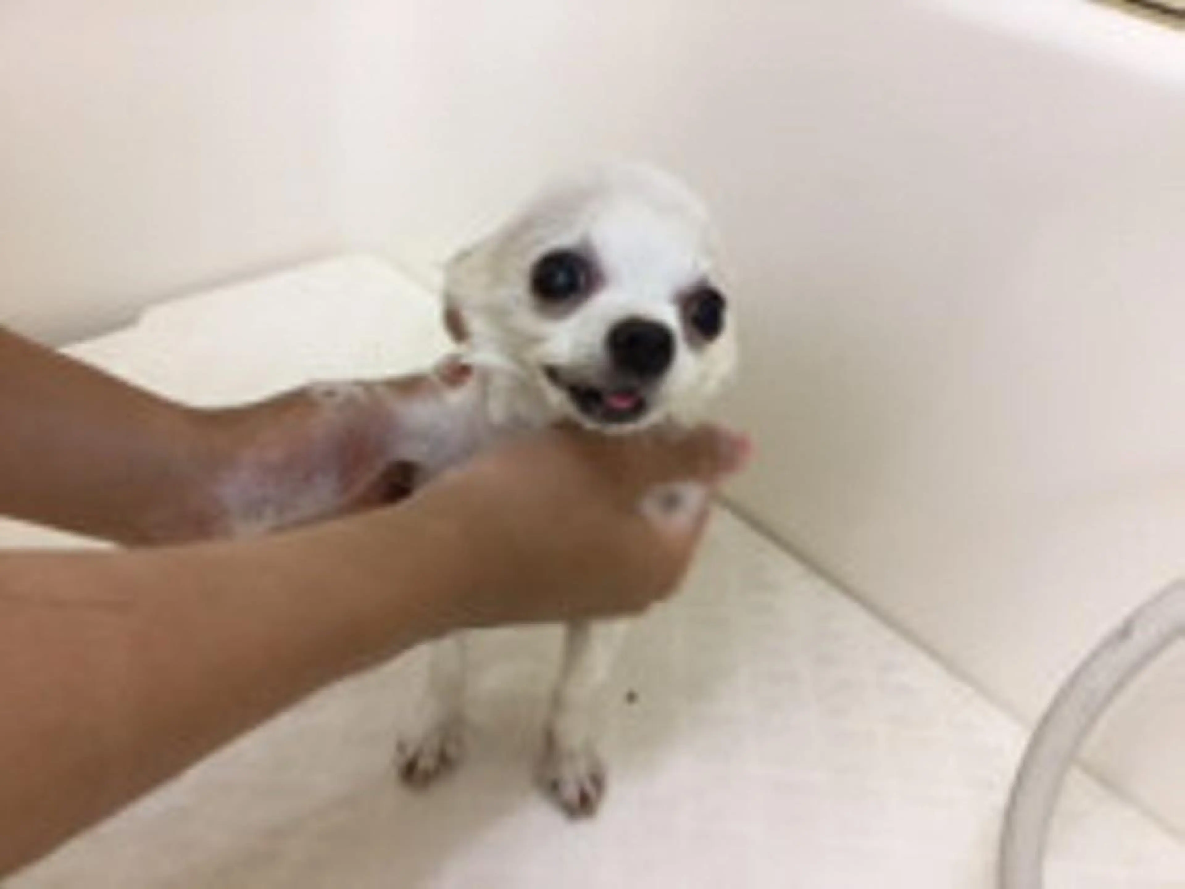 ネイル マツエク・マツパ mayury salonのエステ・リラクイメージ