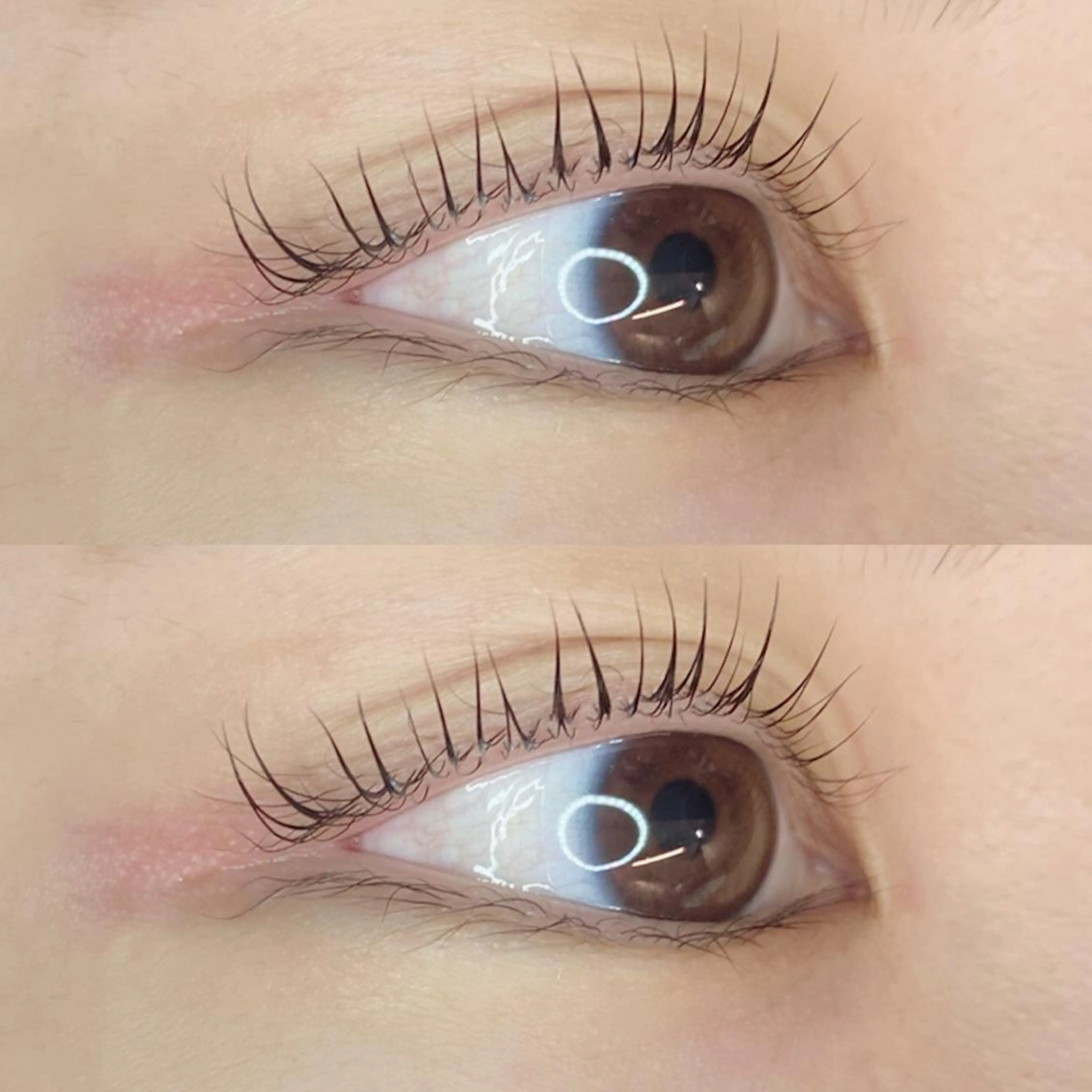 マツエク・マツパ Favori 川上のマツエク・マツパデザイン