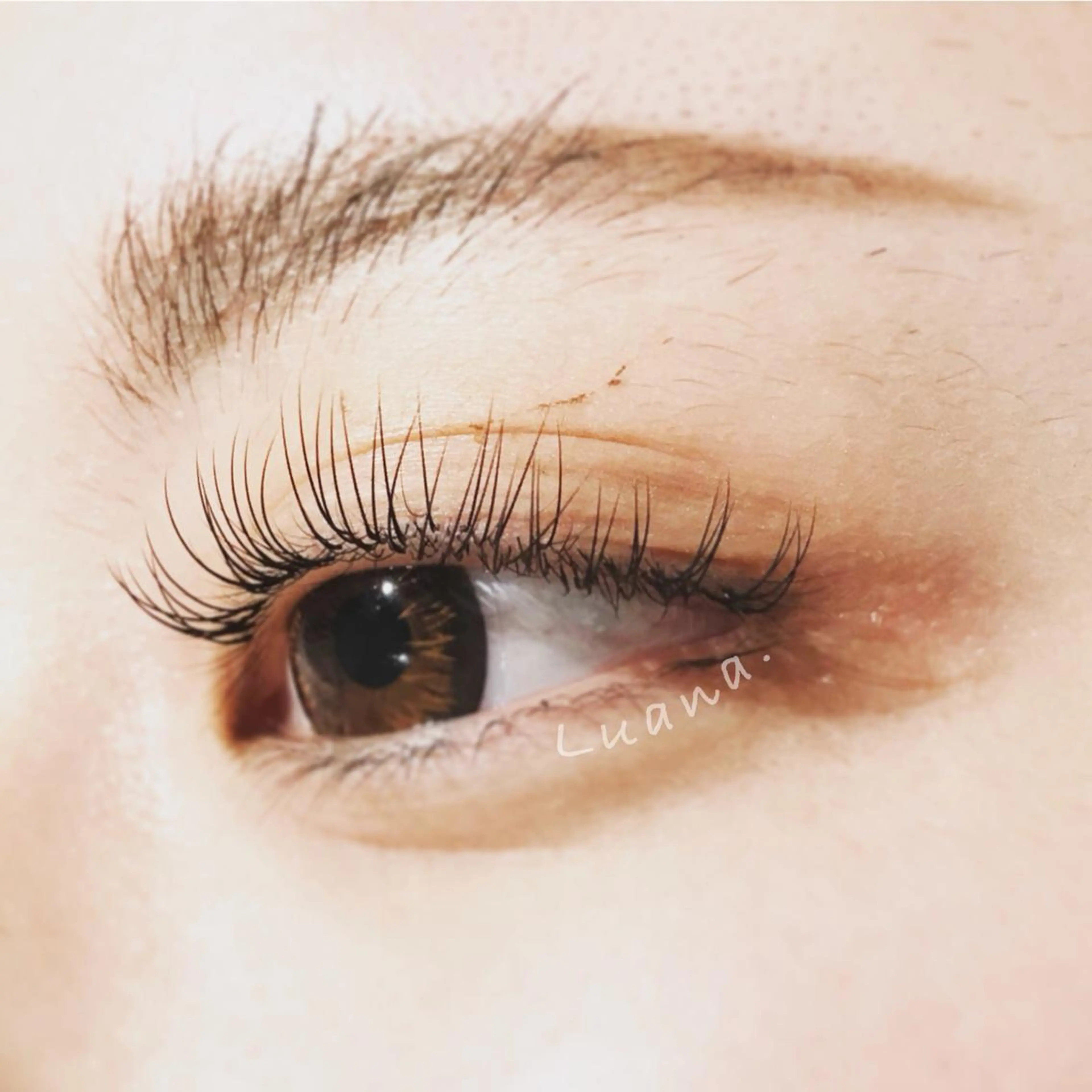 マツエク・マツパ Cカール にっくに ちひろの眉毛・アイブロウイメージ